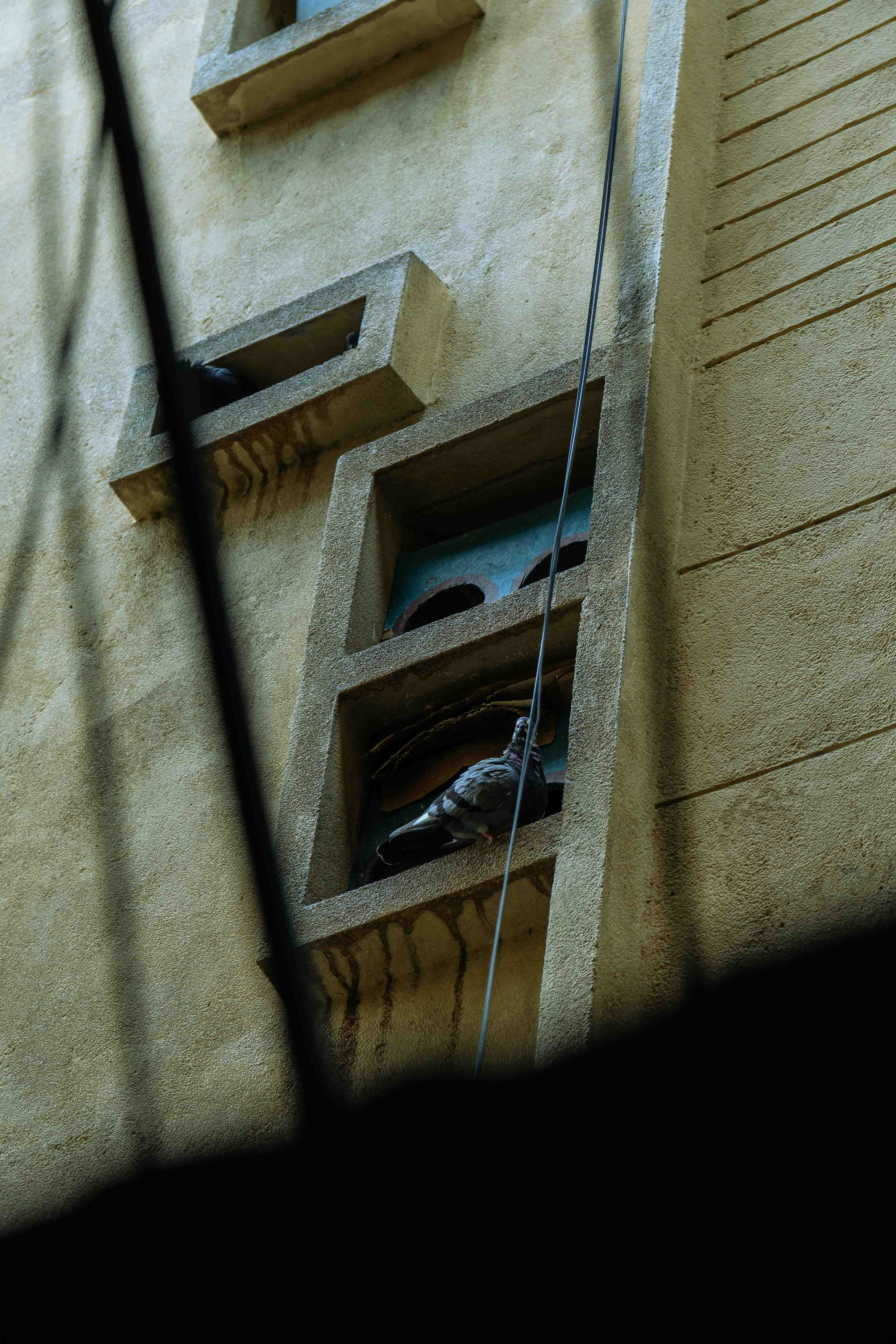 Photo by thejourneyofframes