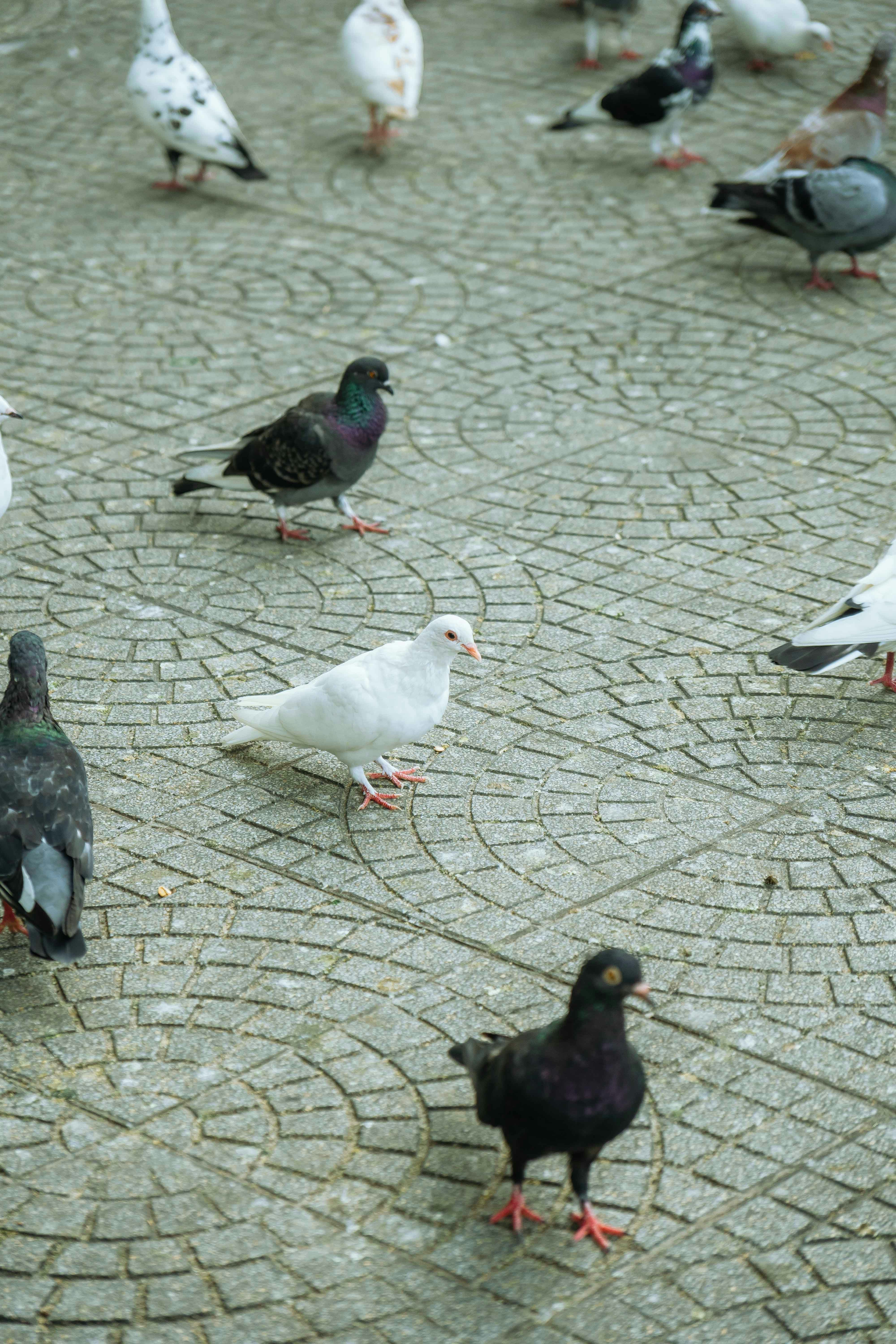 Photo by thejourneyofframes