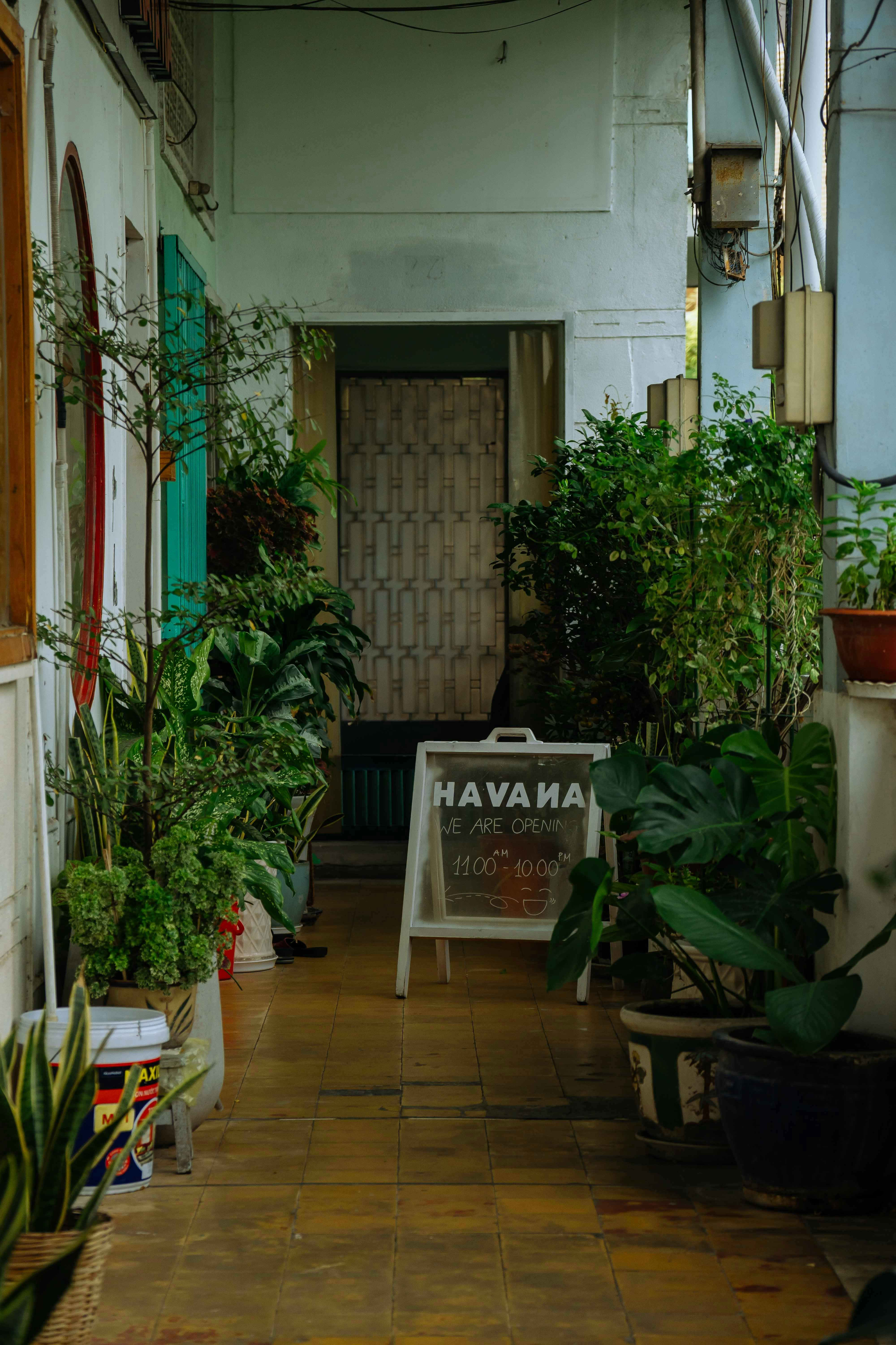 鉢植えの植物と看板のある狭い廊下