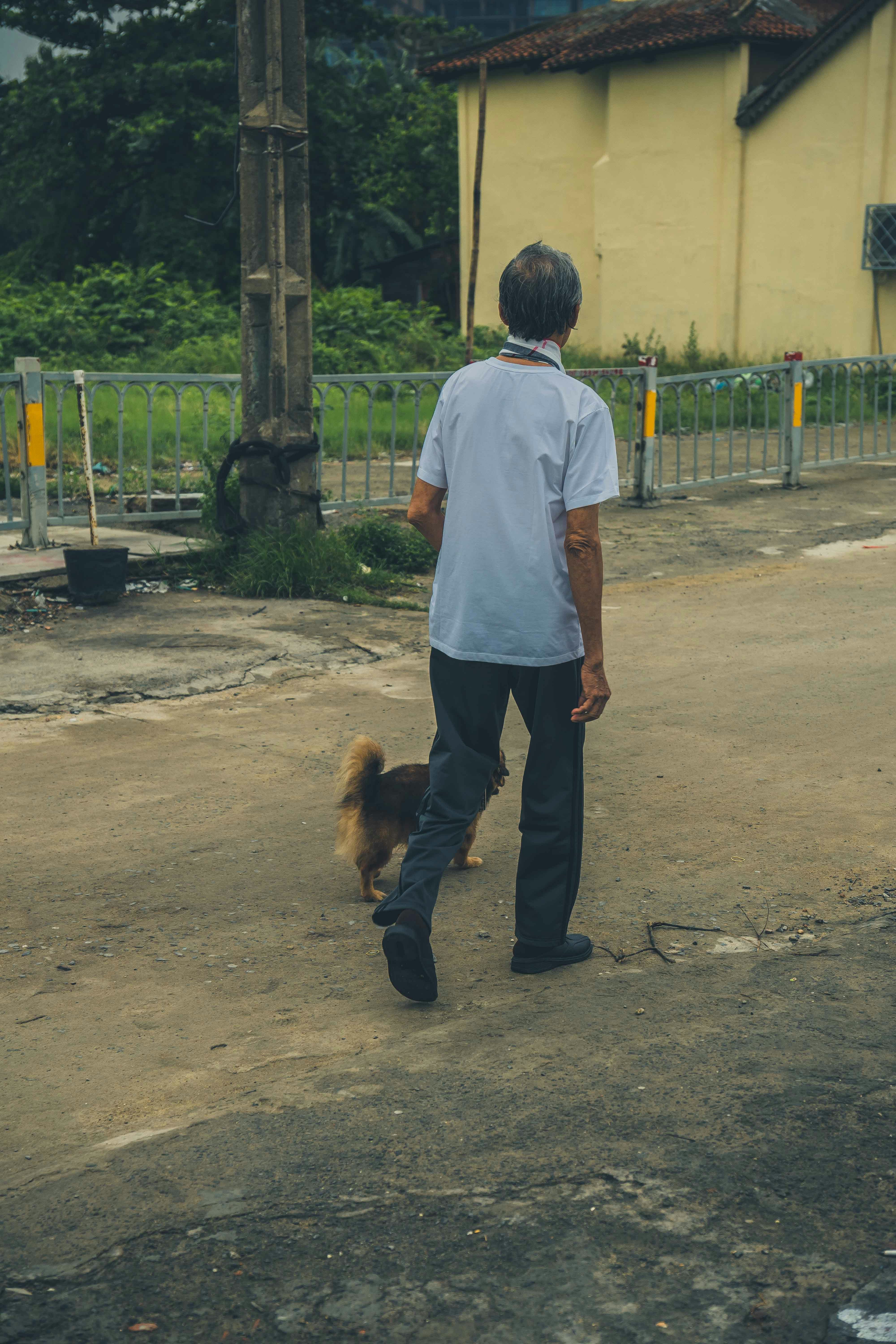 Person Approaching a Service Dog Handler Respectfully