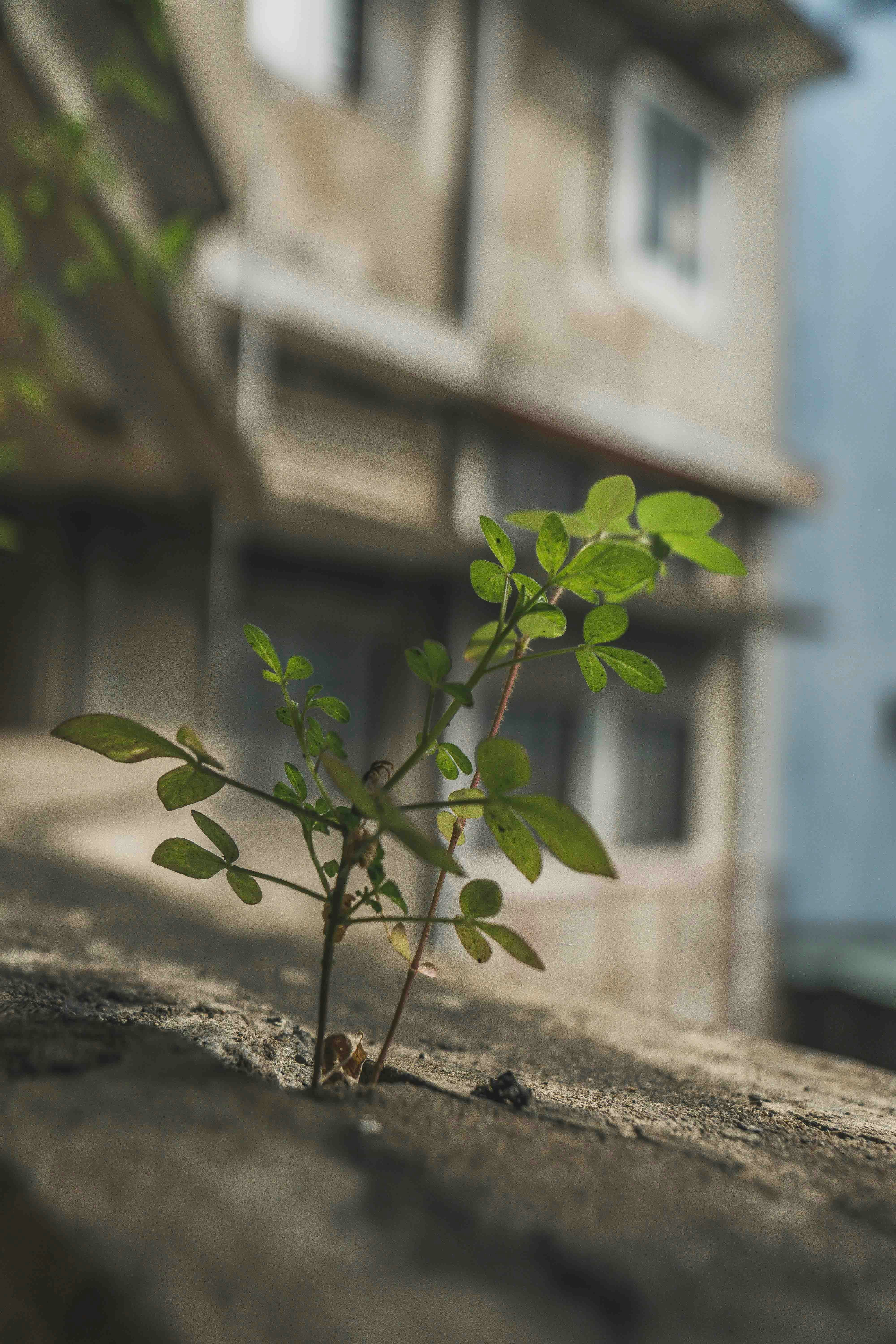 Photo by thejourneyofframes