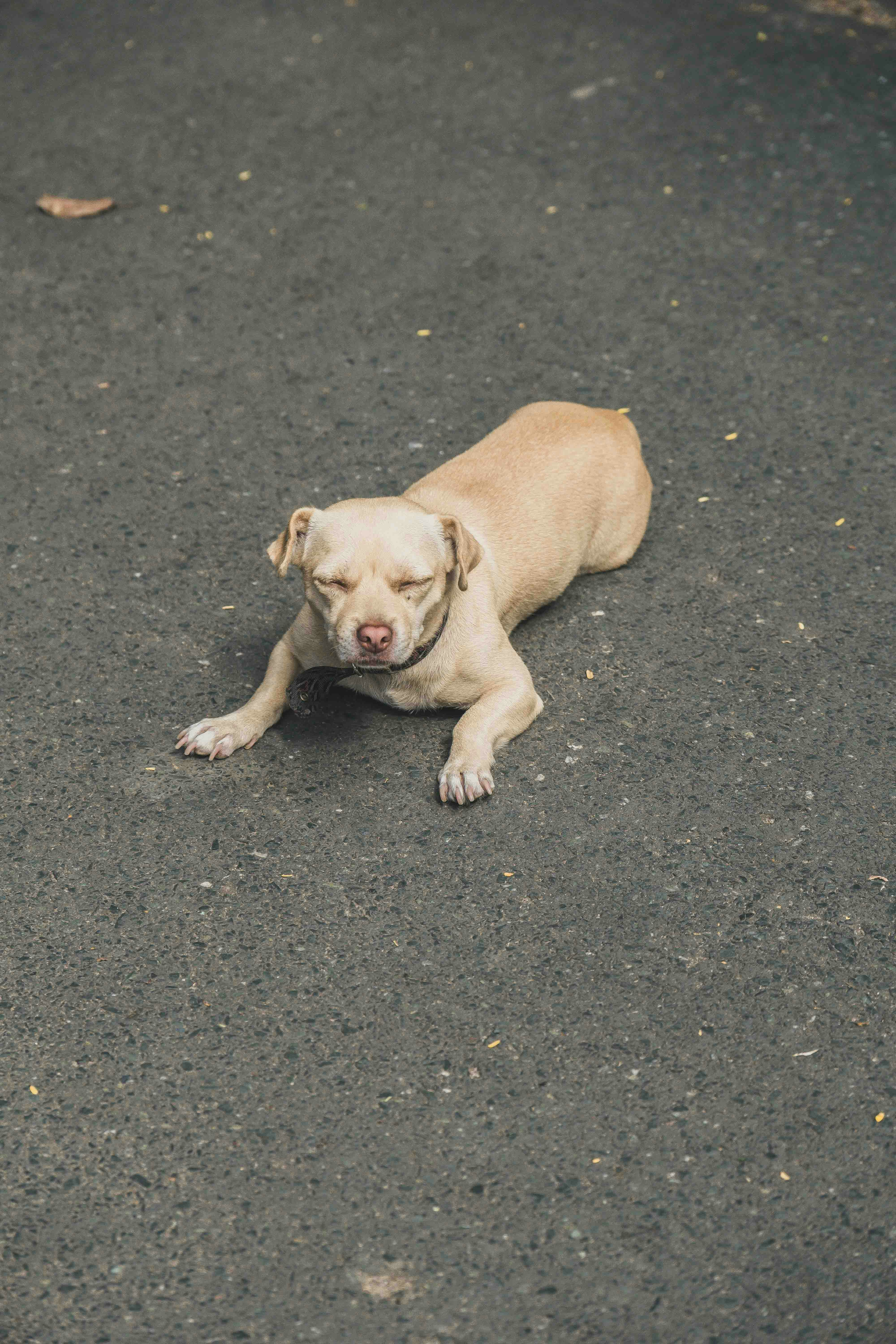 Photo by thejourneyofframes