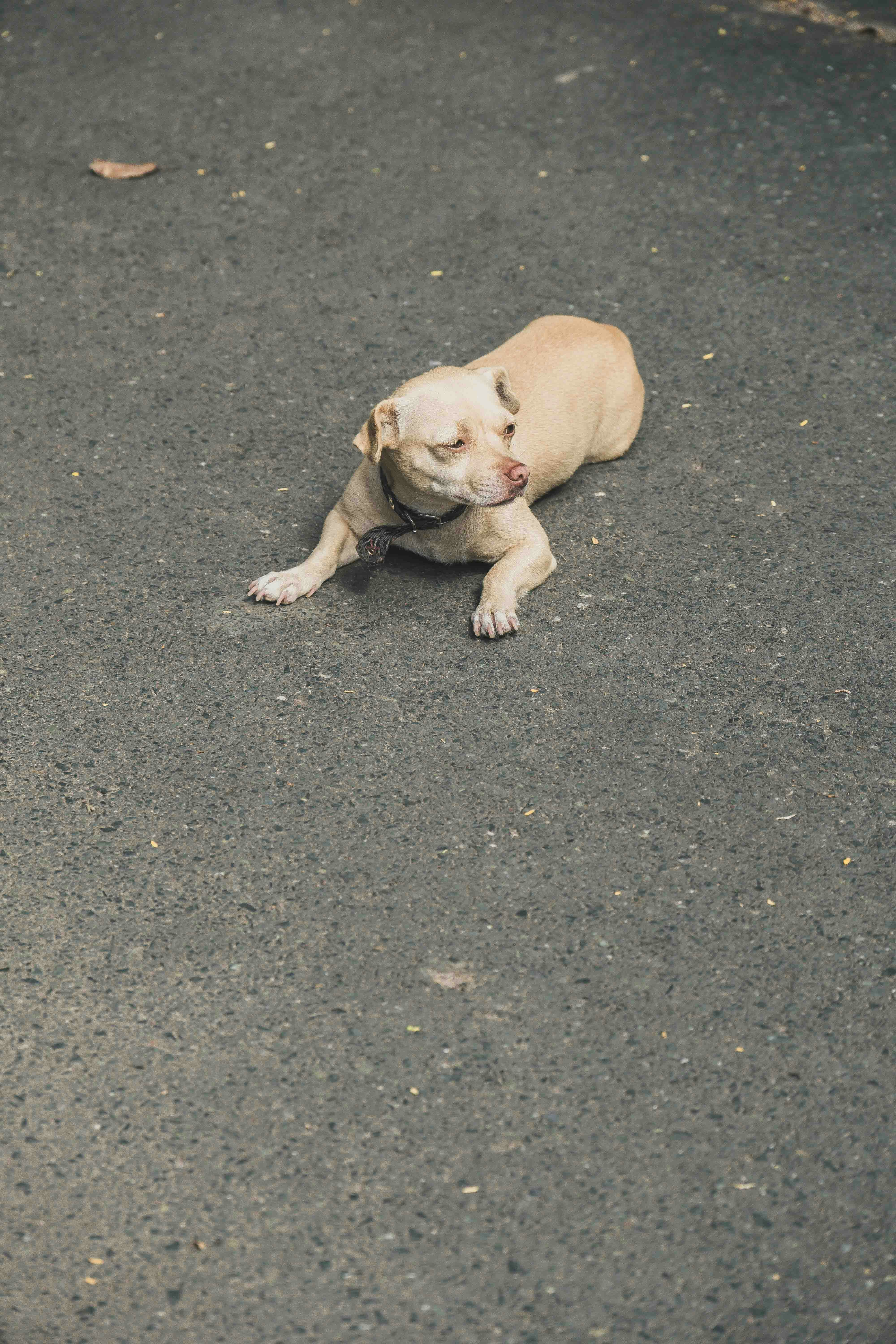 Photo by thejourneyofframes