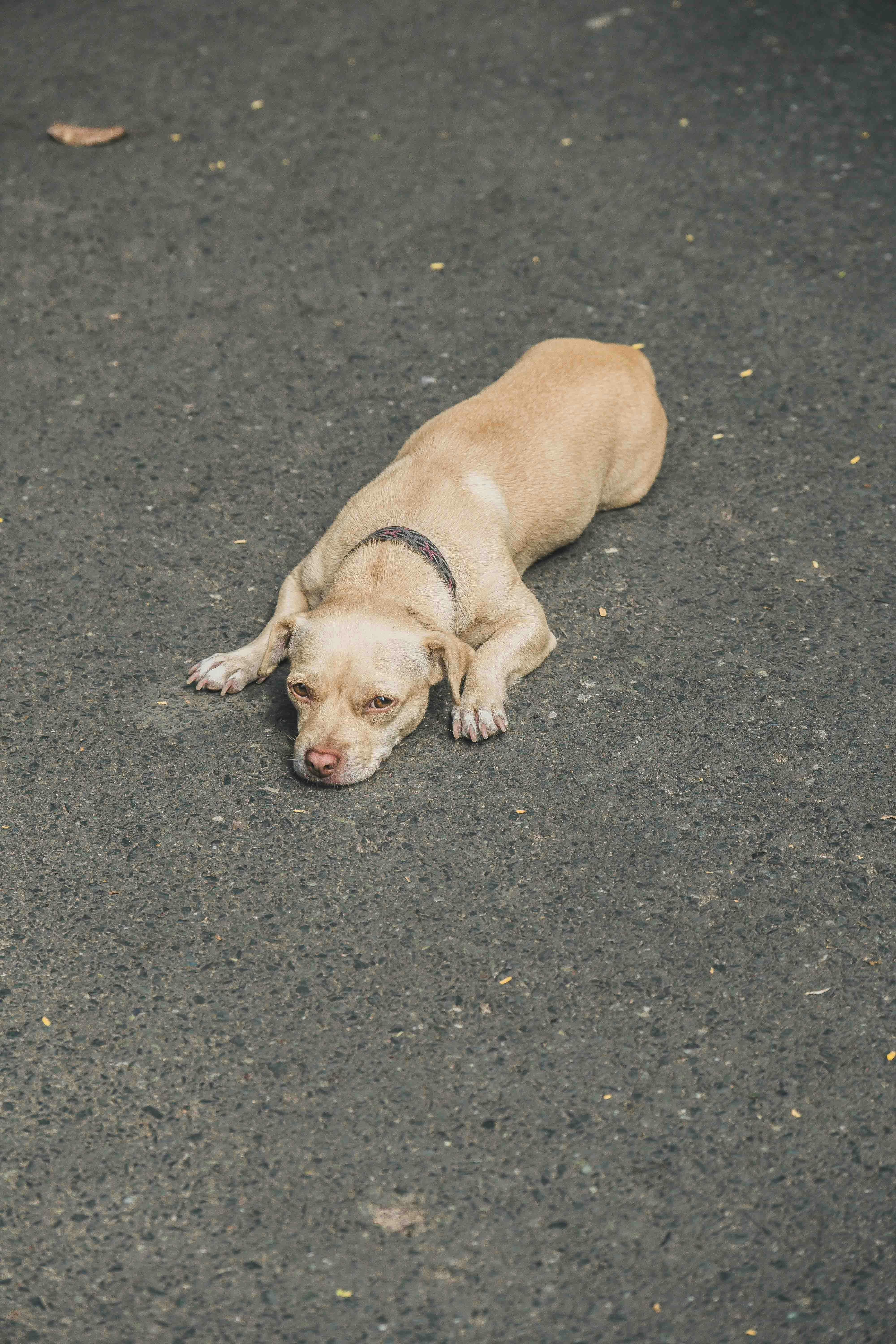 Photo by thejourneyofframes