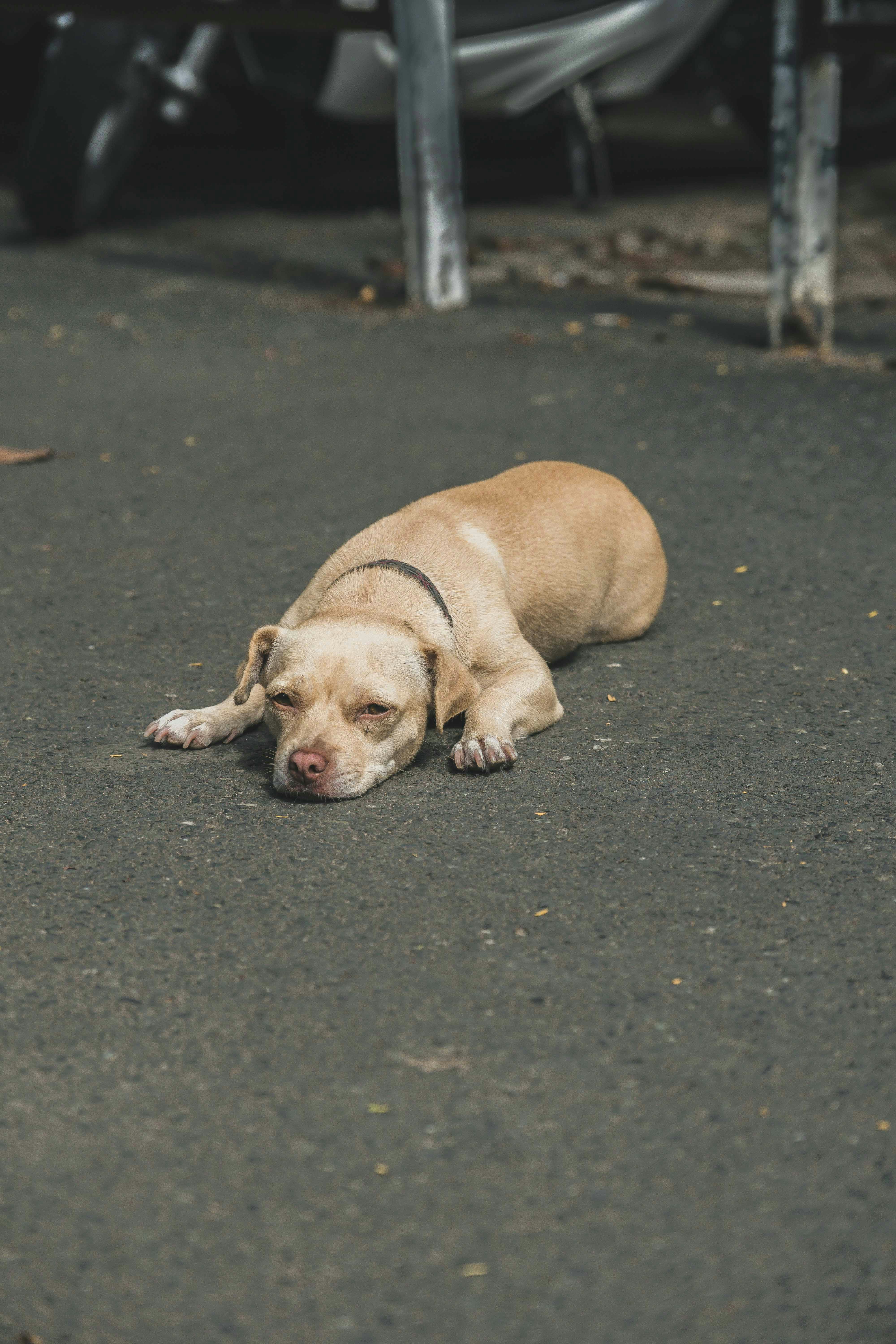 Photo by thejourneyofframes