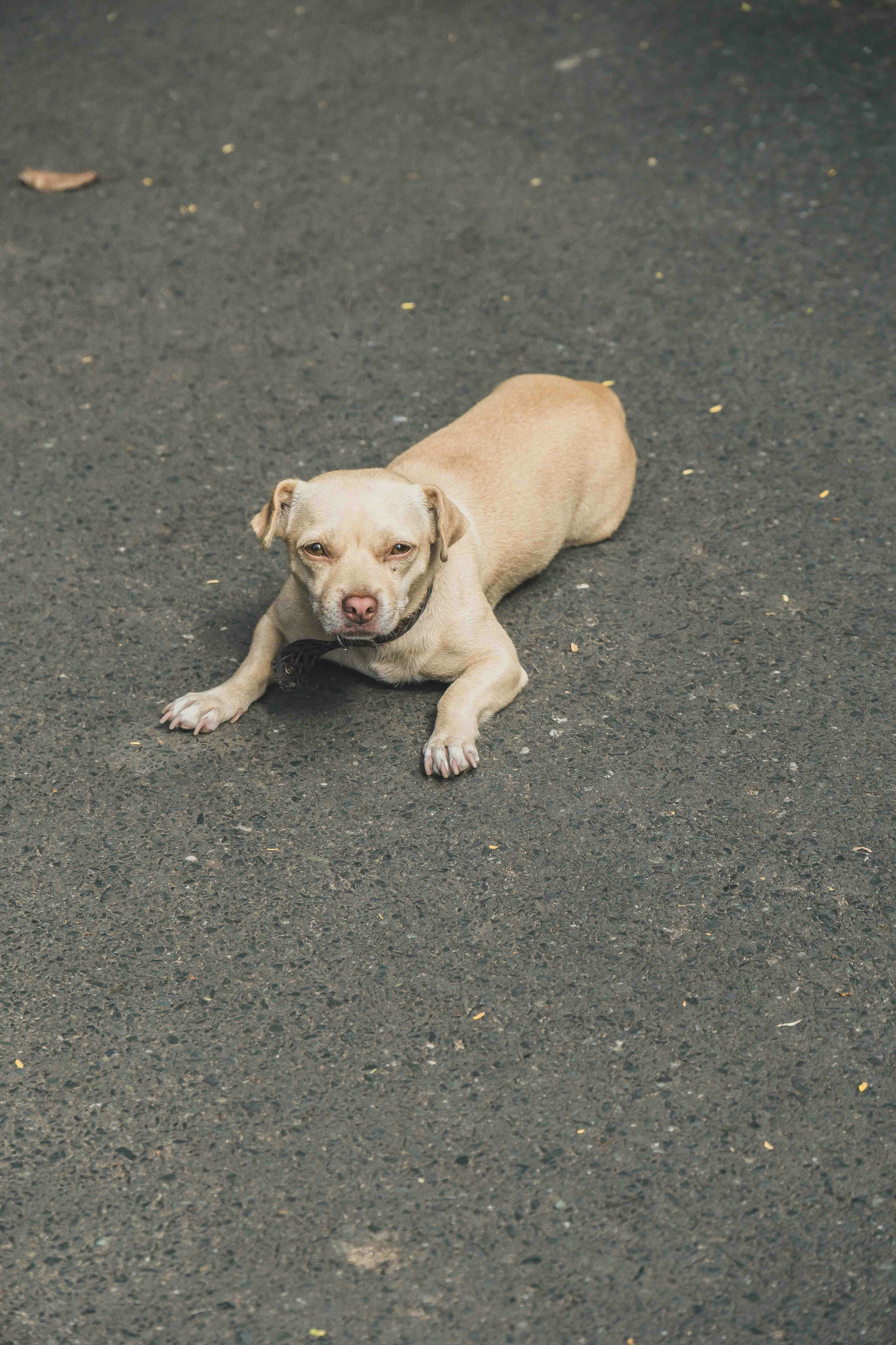 Photo by thejourneyofframes