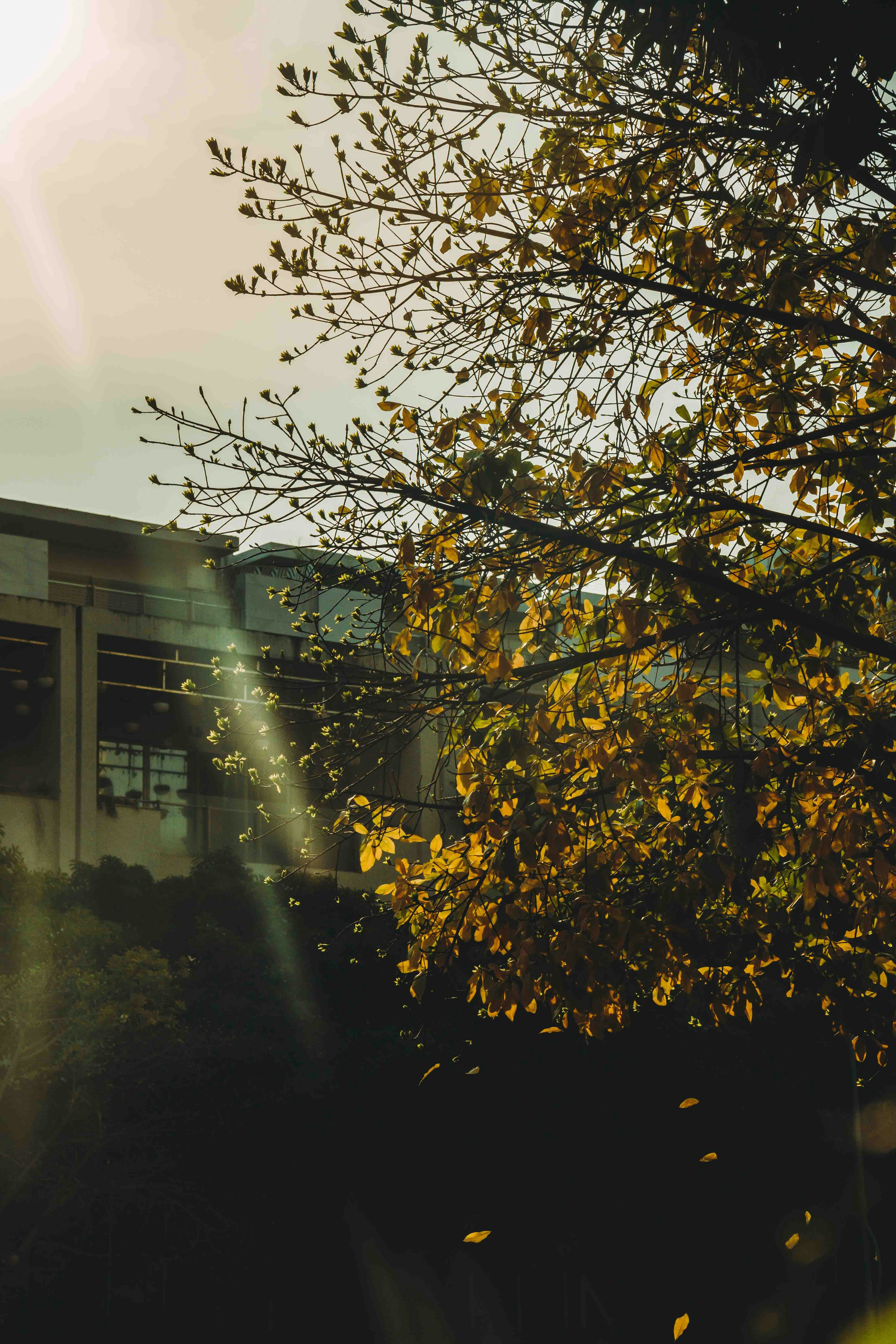 Photo by thejourneyofframes