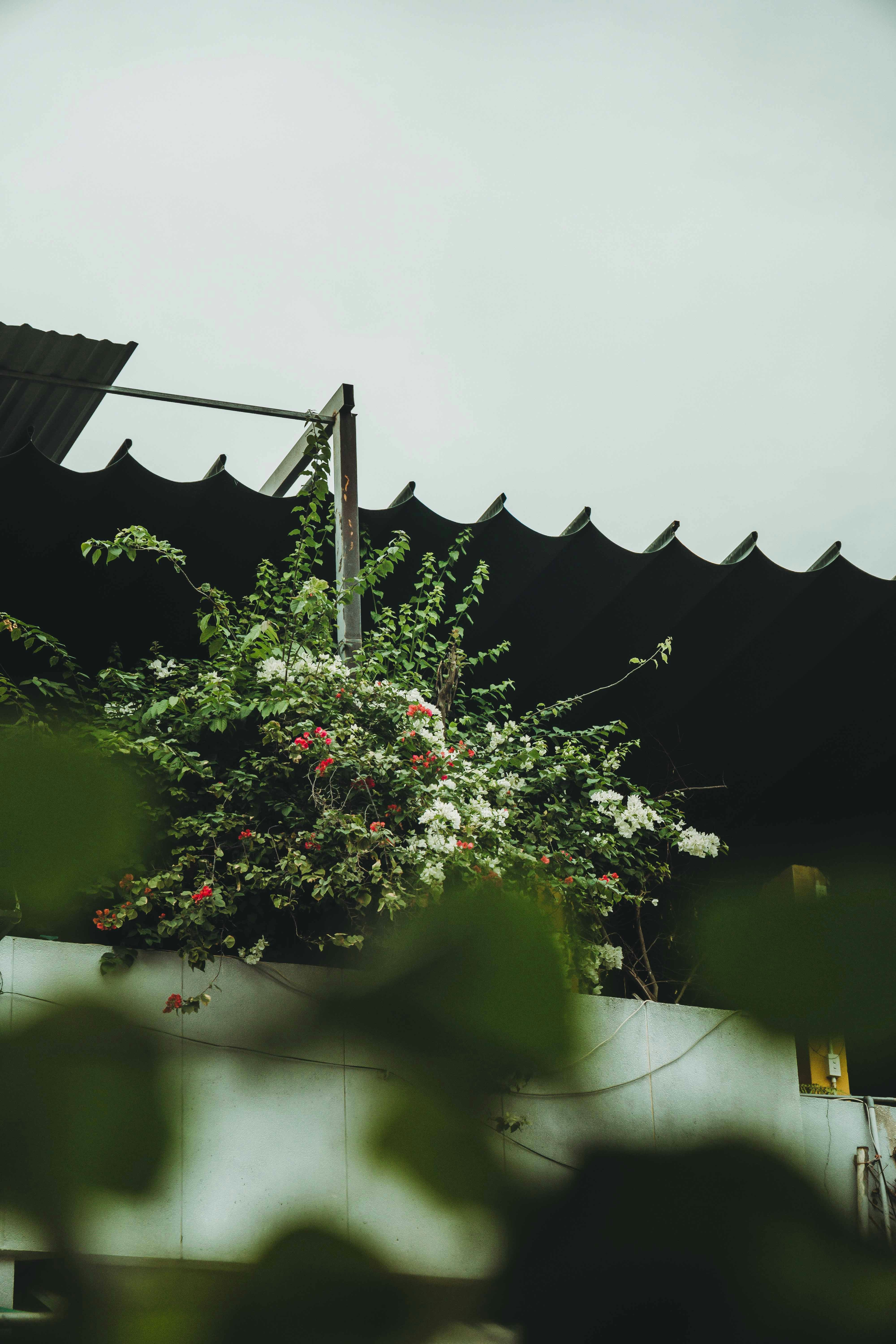 Photo by thejourneyofframes