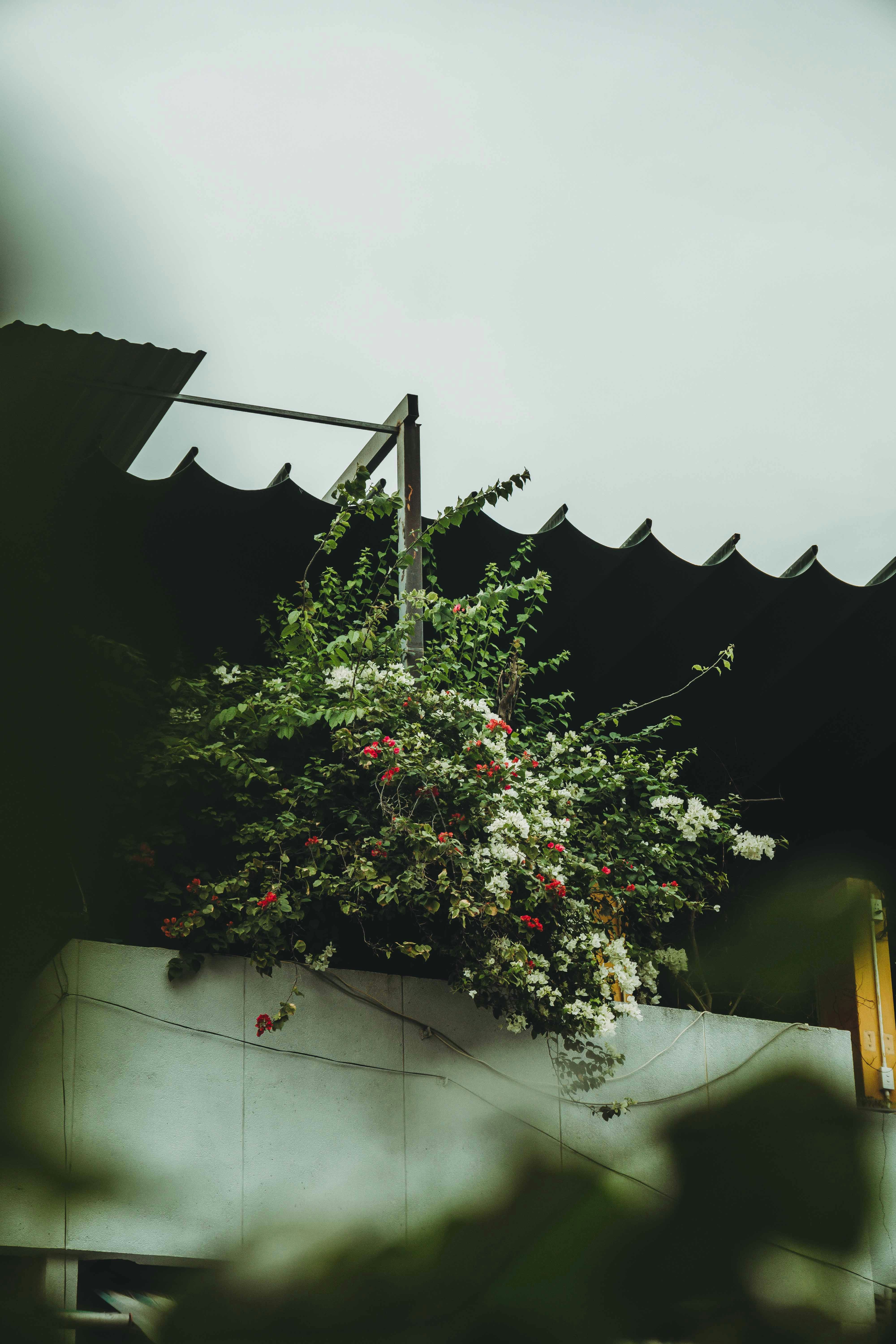 Photo by thejourneyofframes