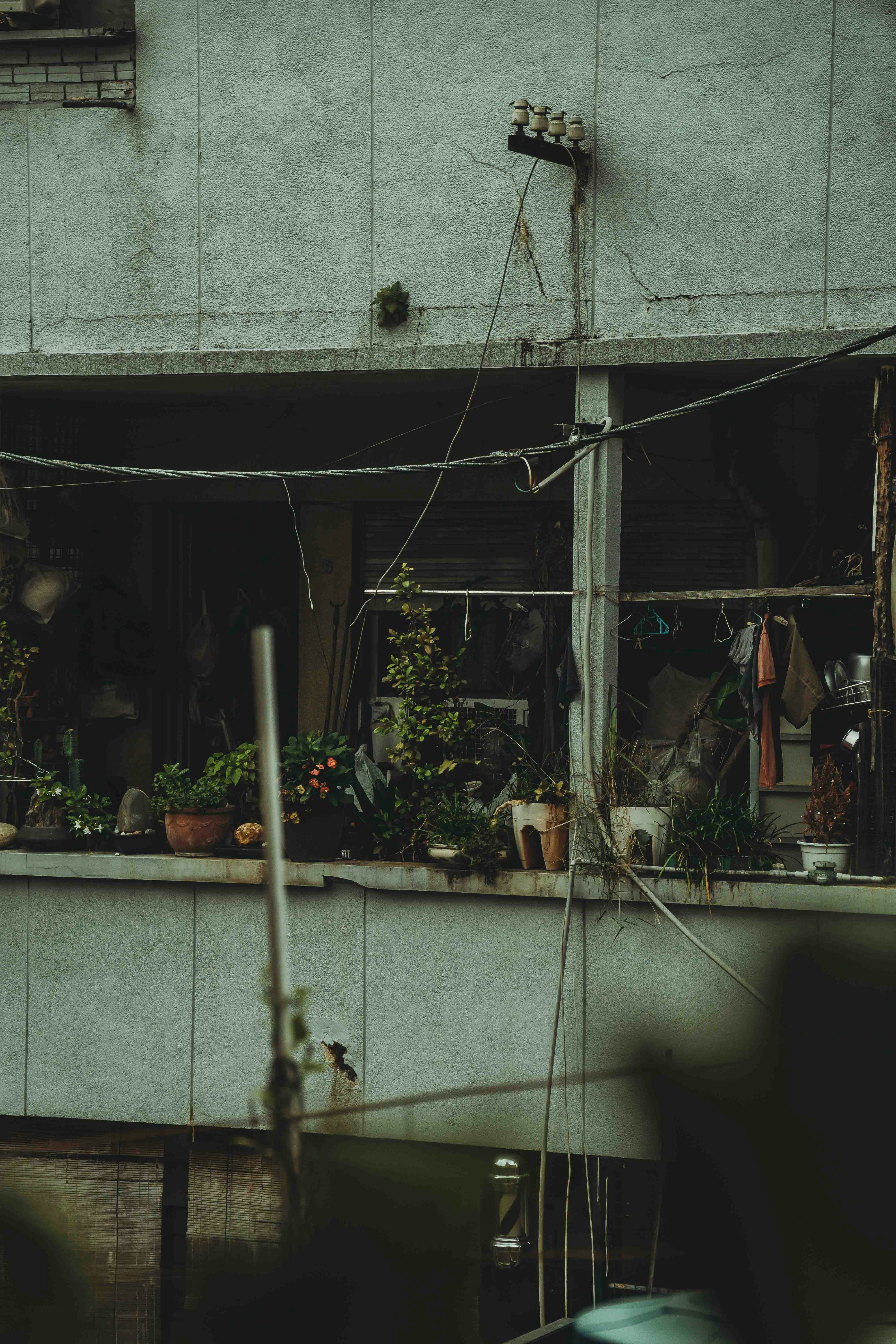 Photo by thejourneyofframes