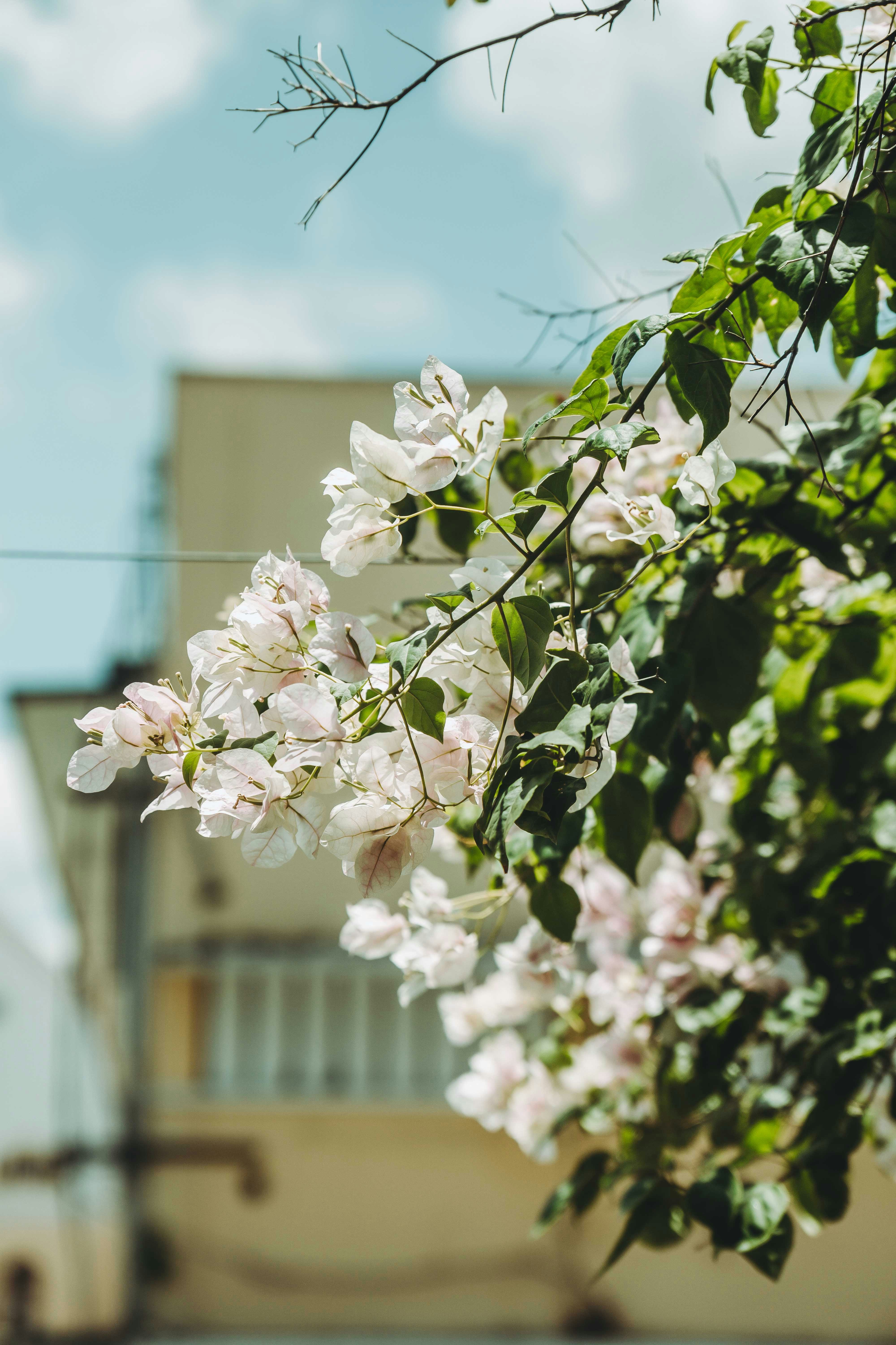 Photo by thejourneyofframes