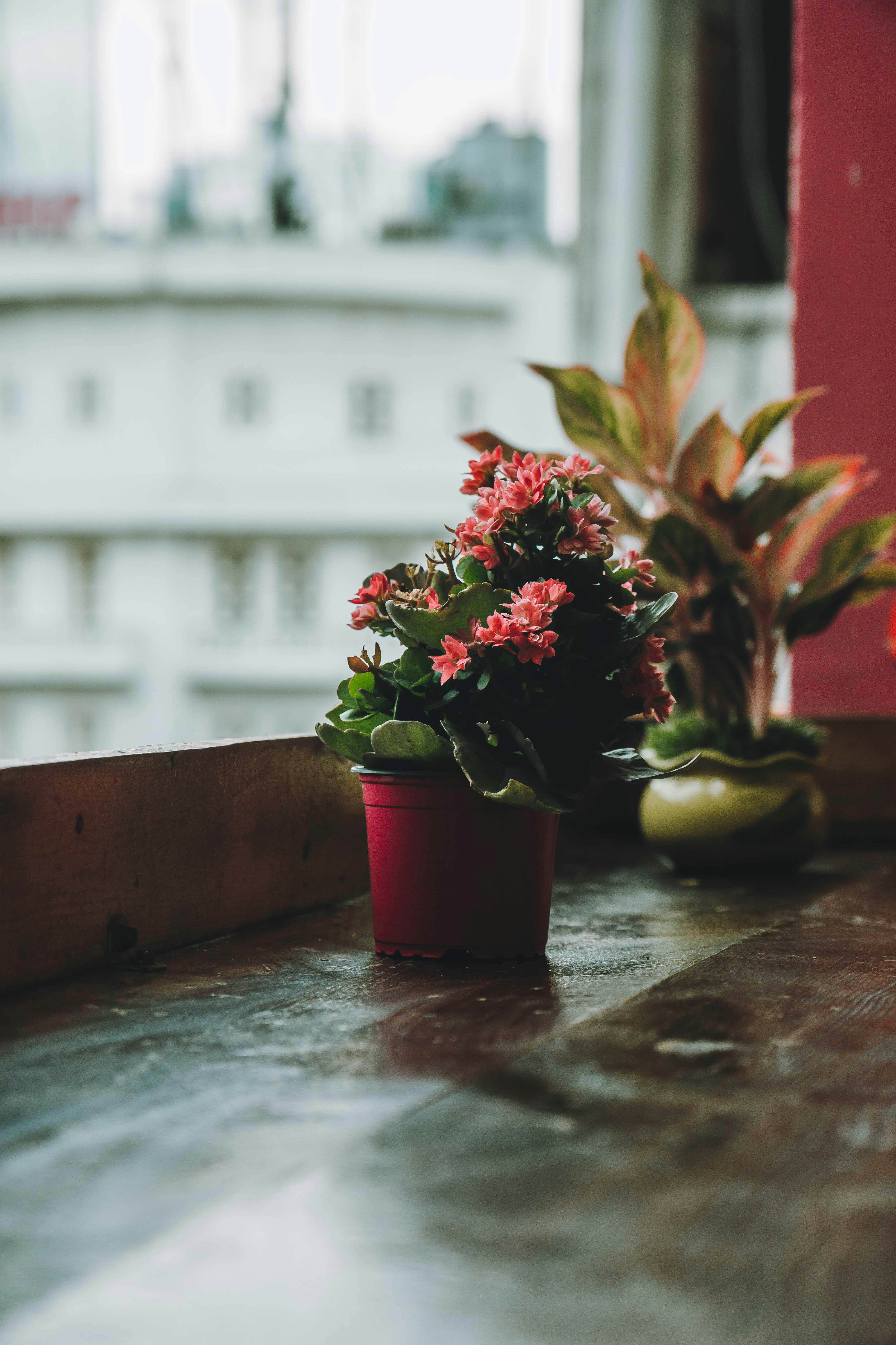 Photo by thejourneyofframes