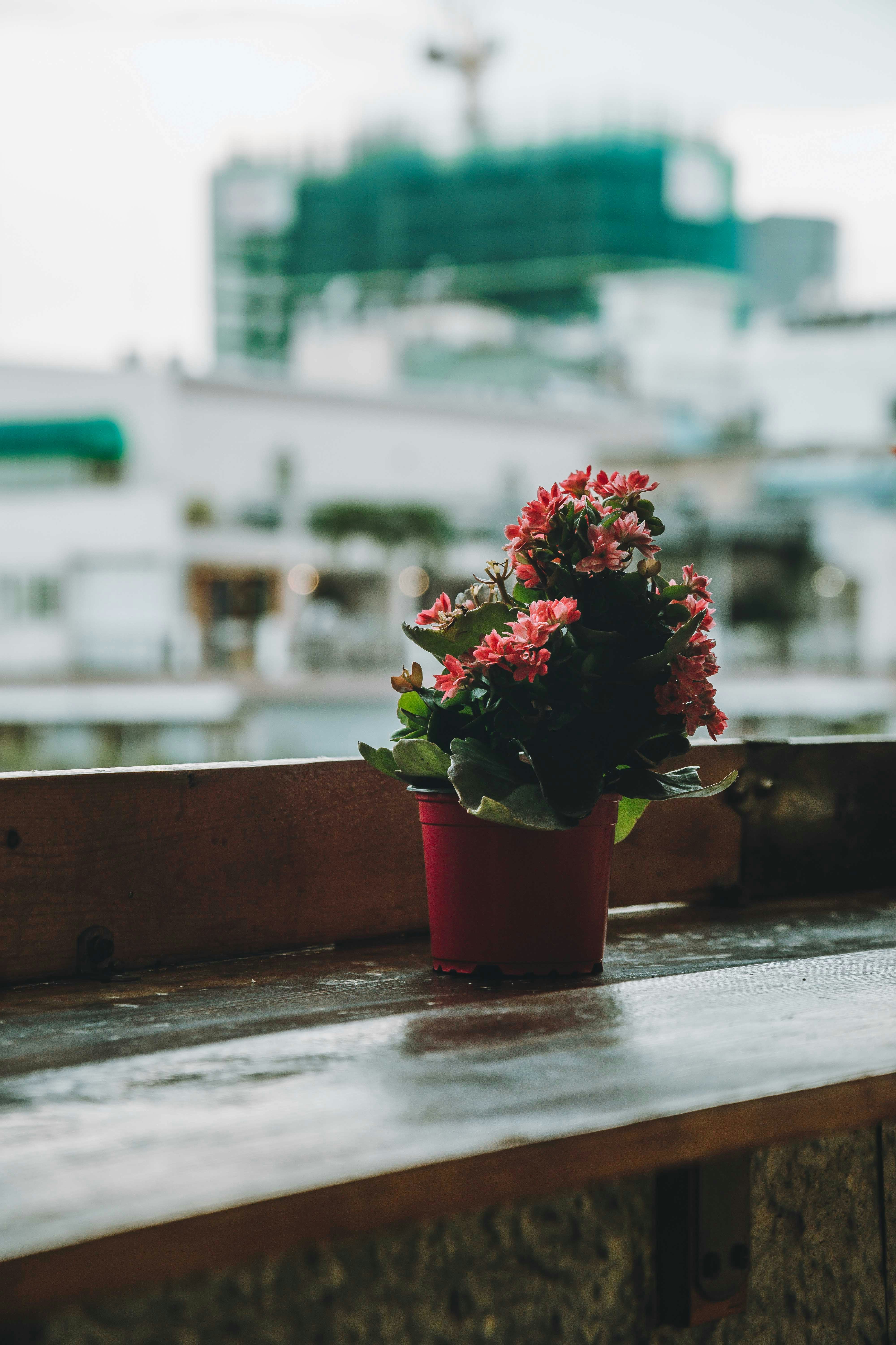 Photo by thejourneyofframes