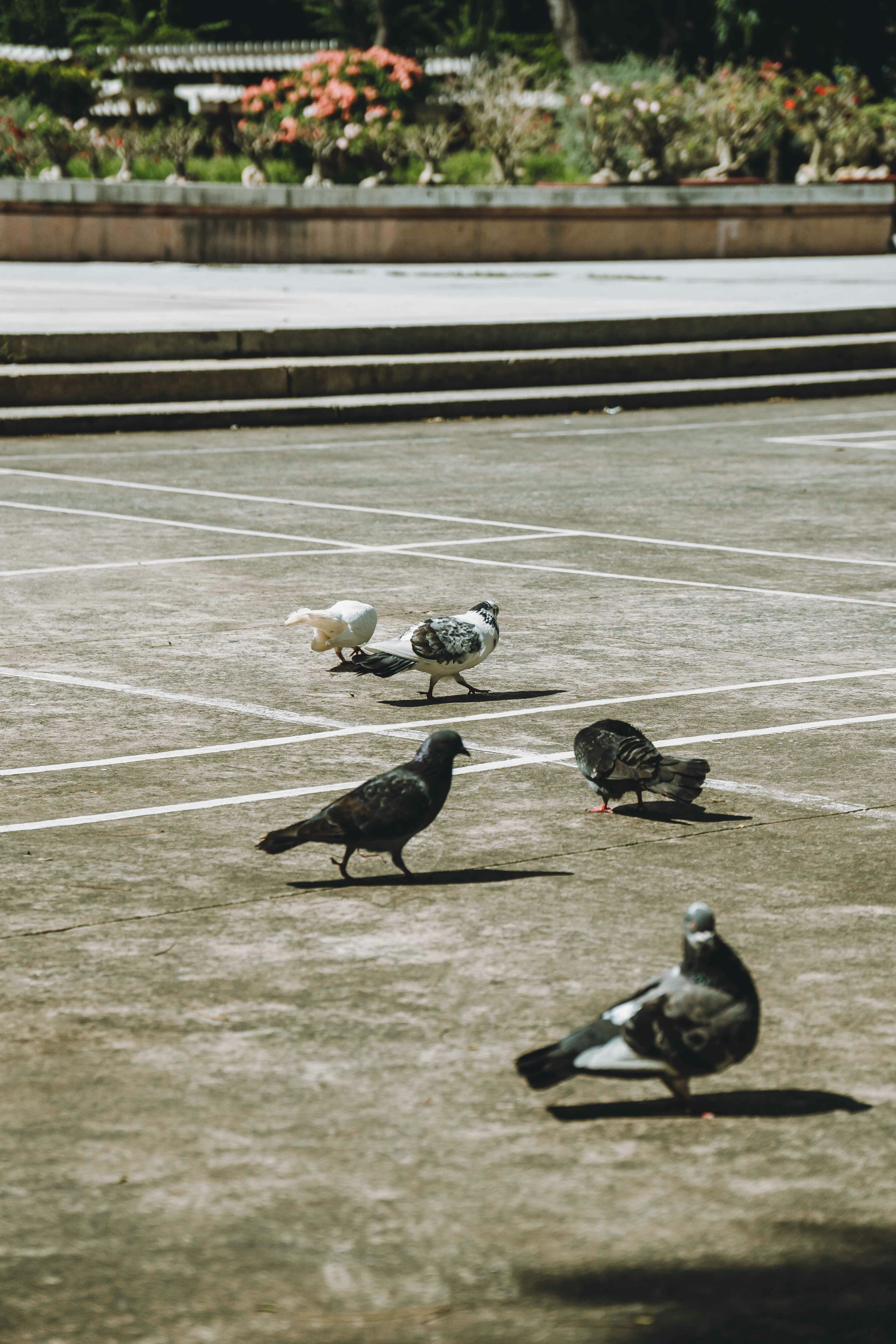 Photo by thejourneyofframes