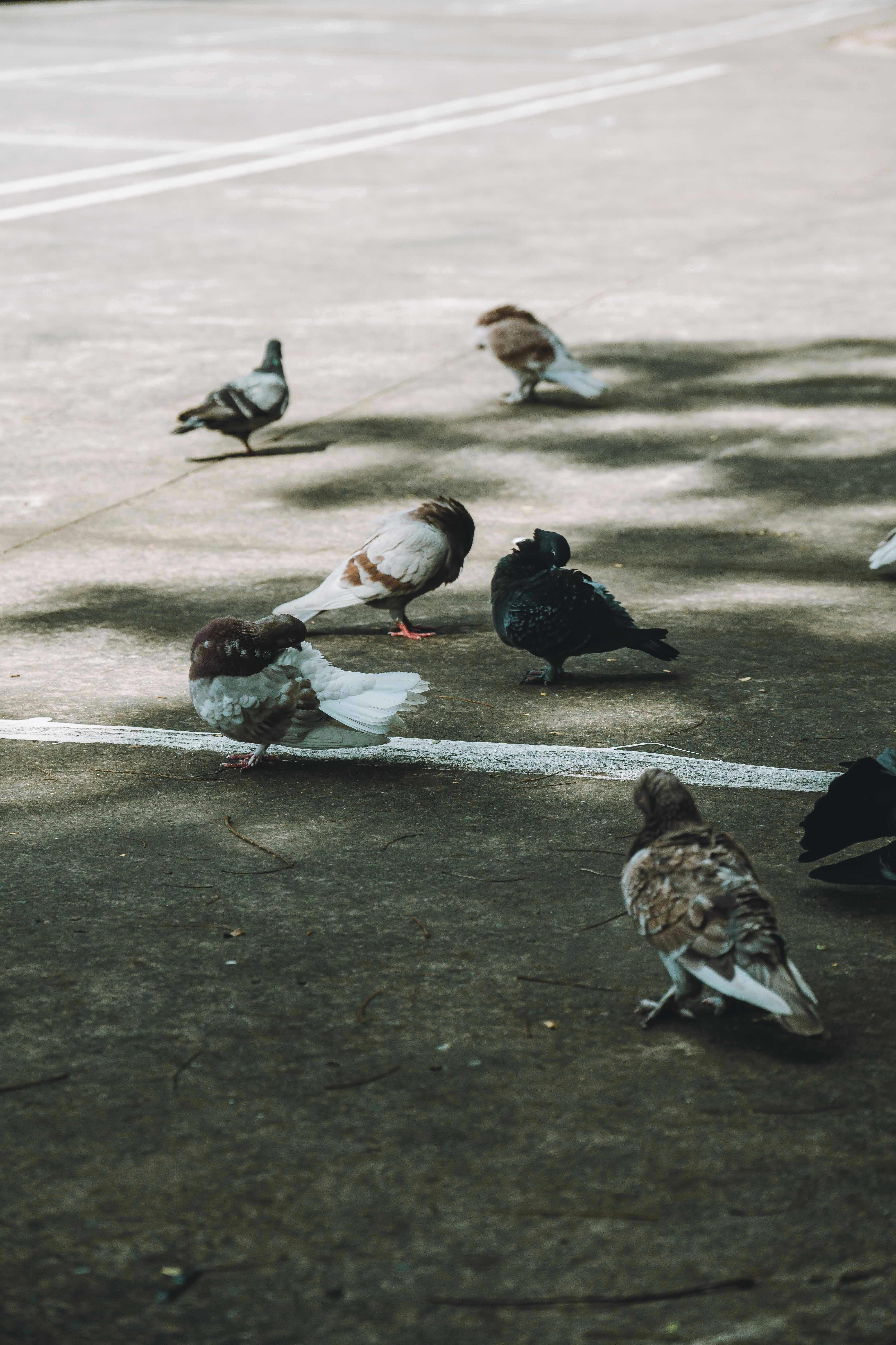 Photo by thejourneyofframes