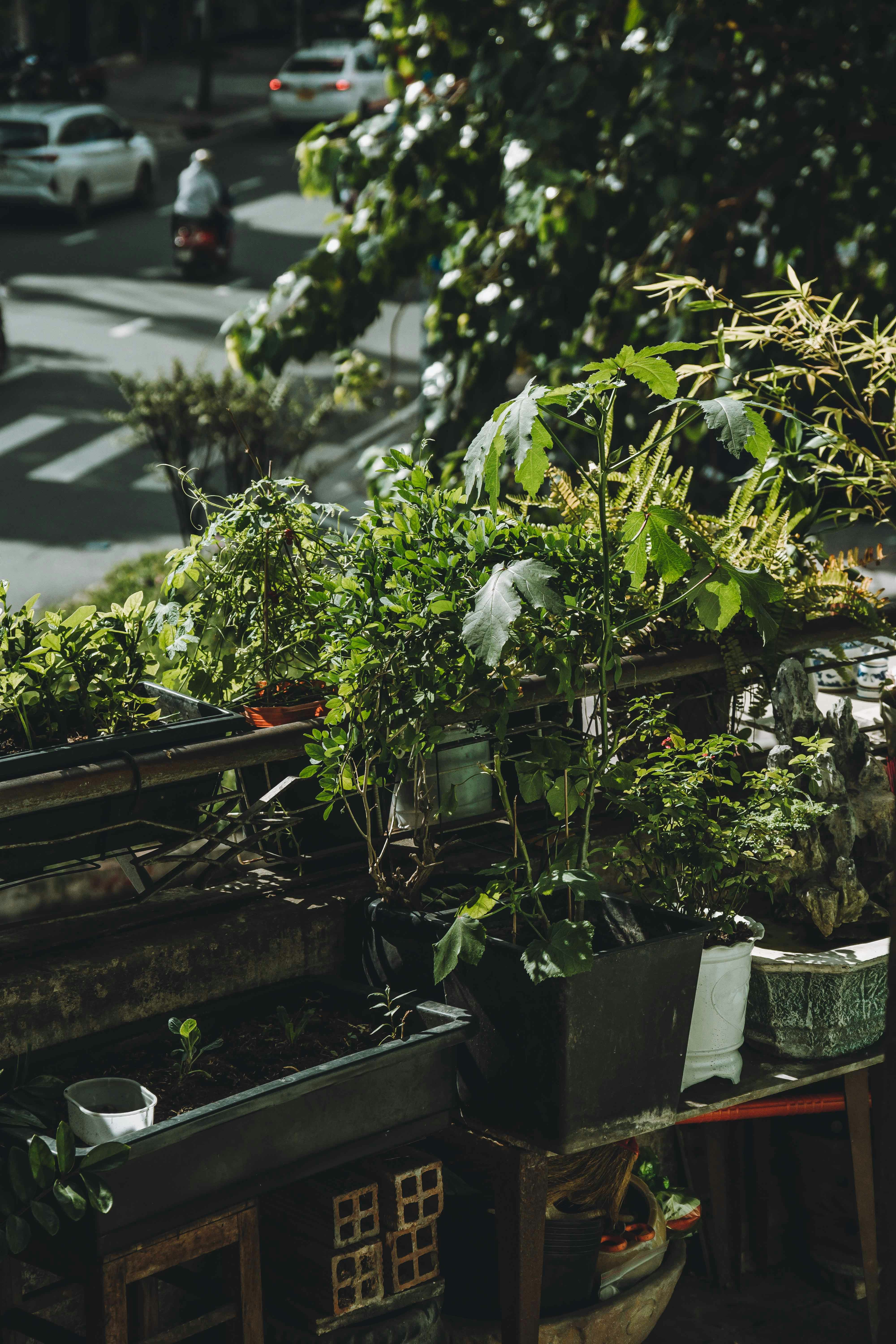 Photo by thejourneyofframes