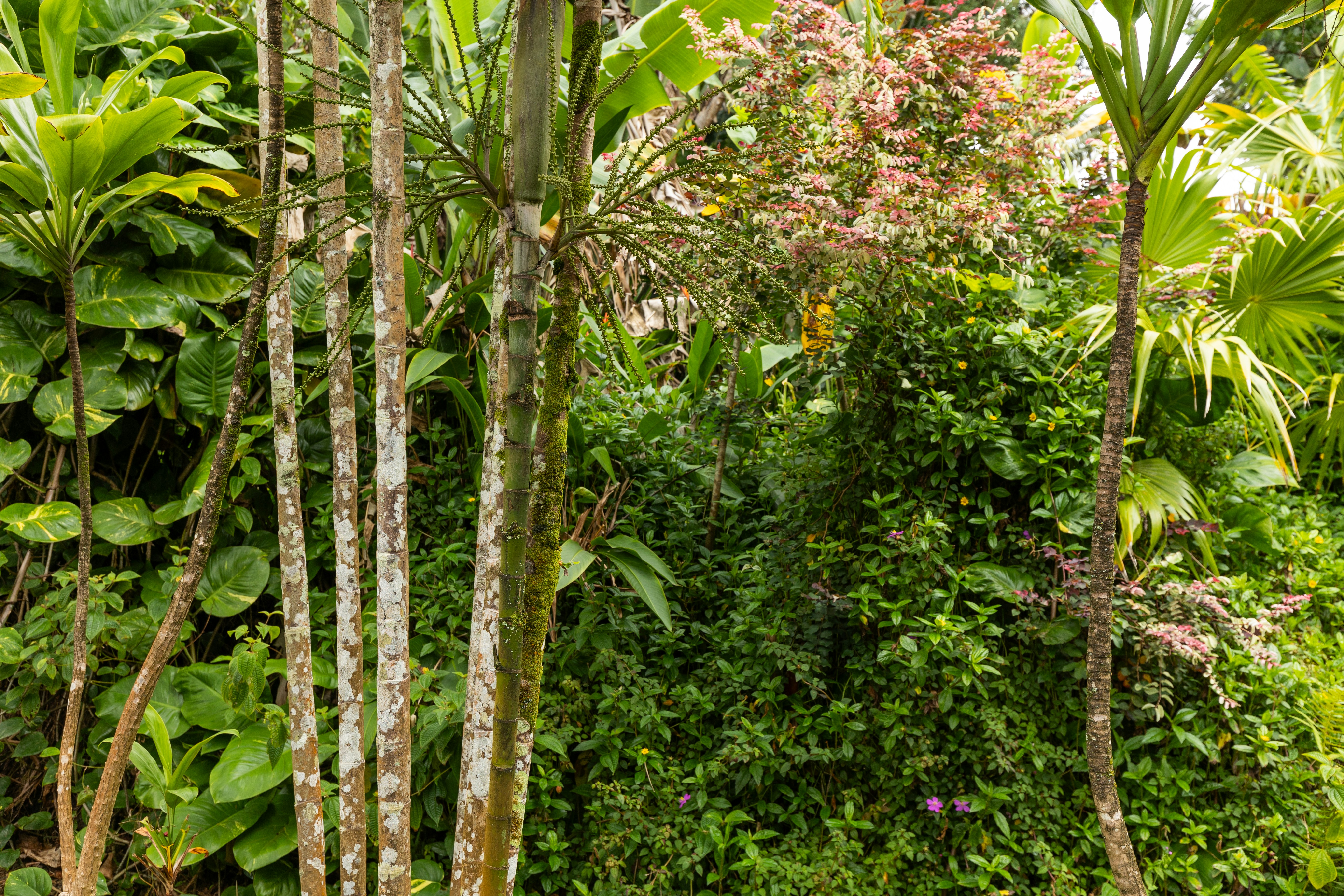 Photo by spencerjameslucas