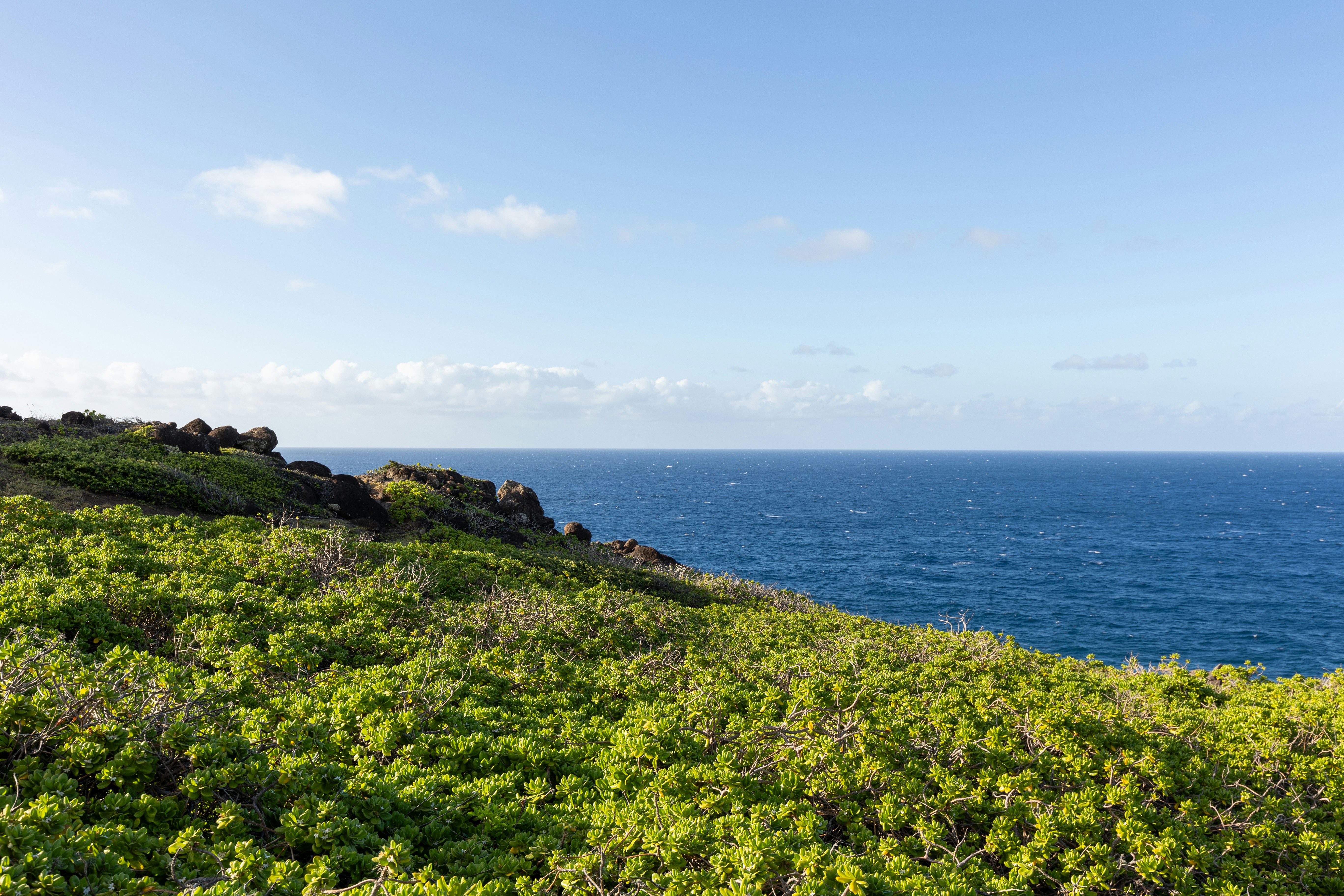 Photo by spencerjameslucas