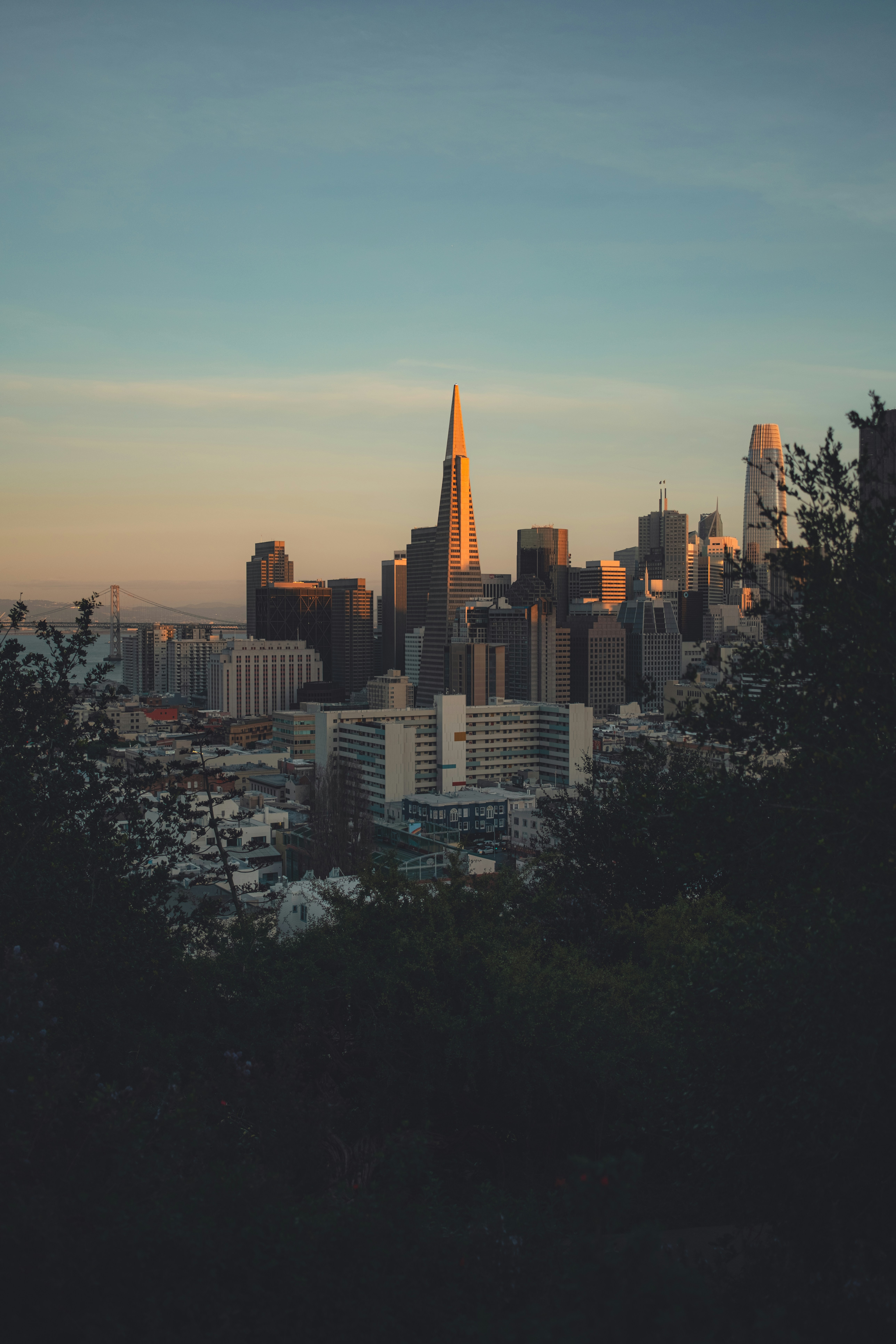 Photo by kalaniparker