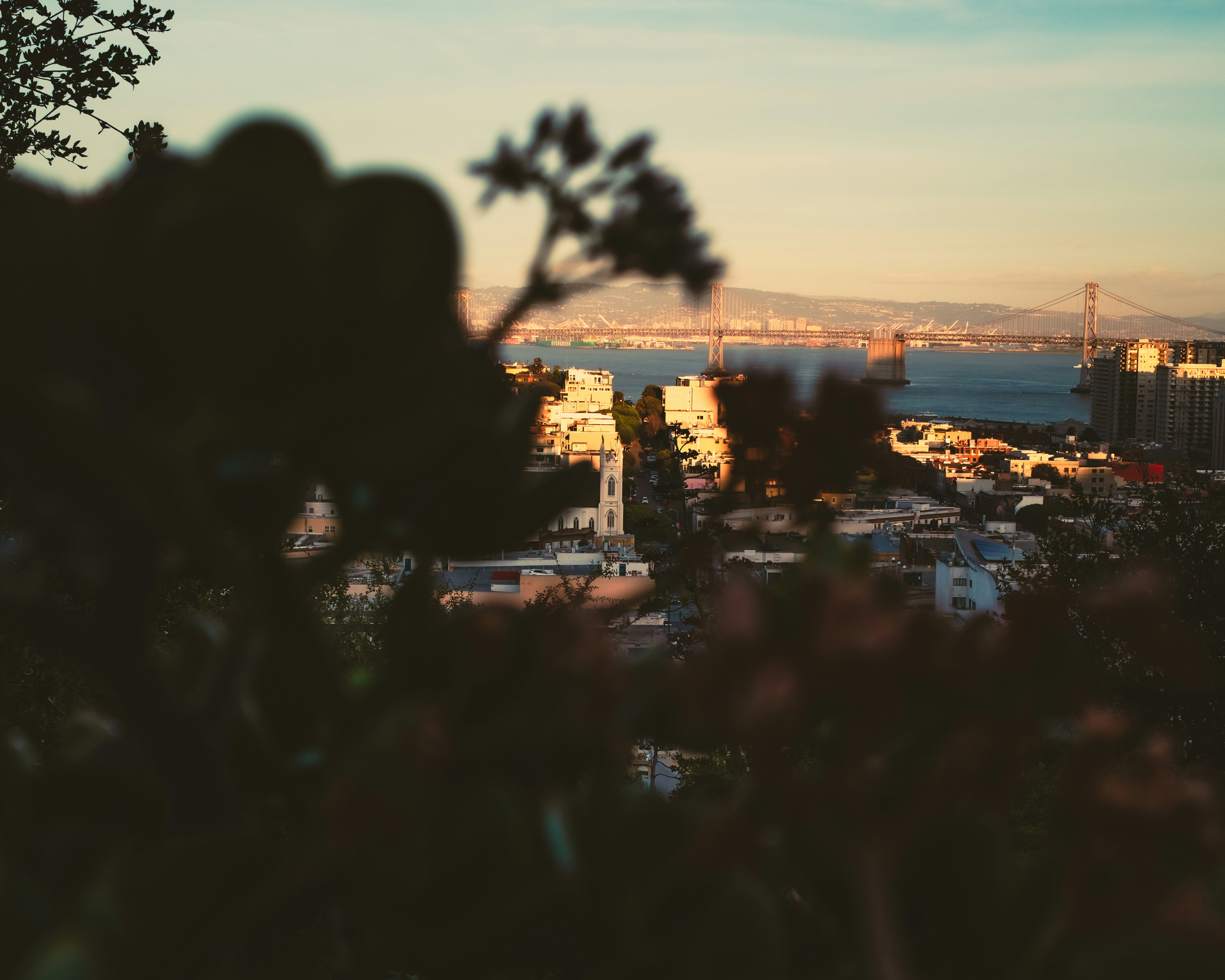 Photo by kalaniparker