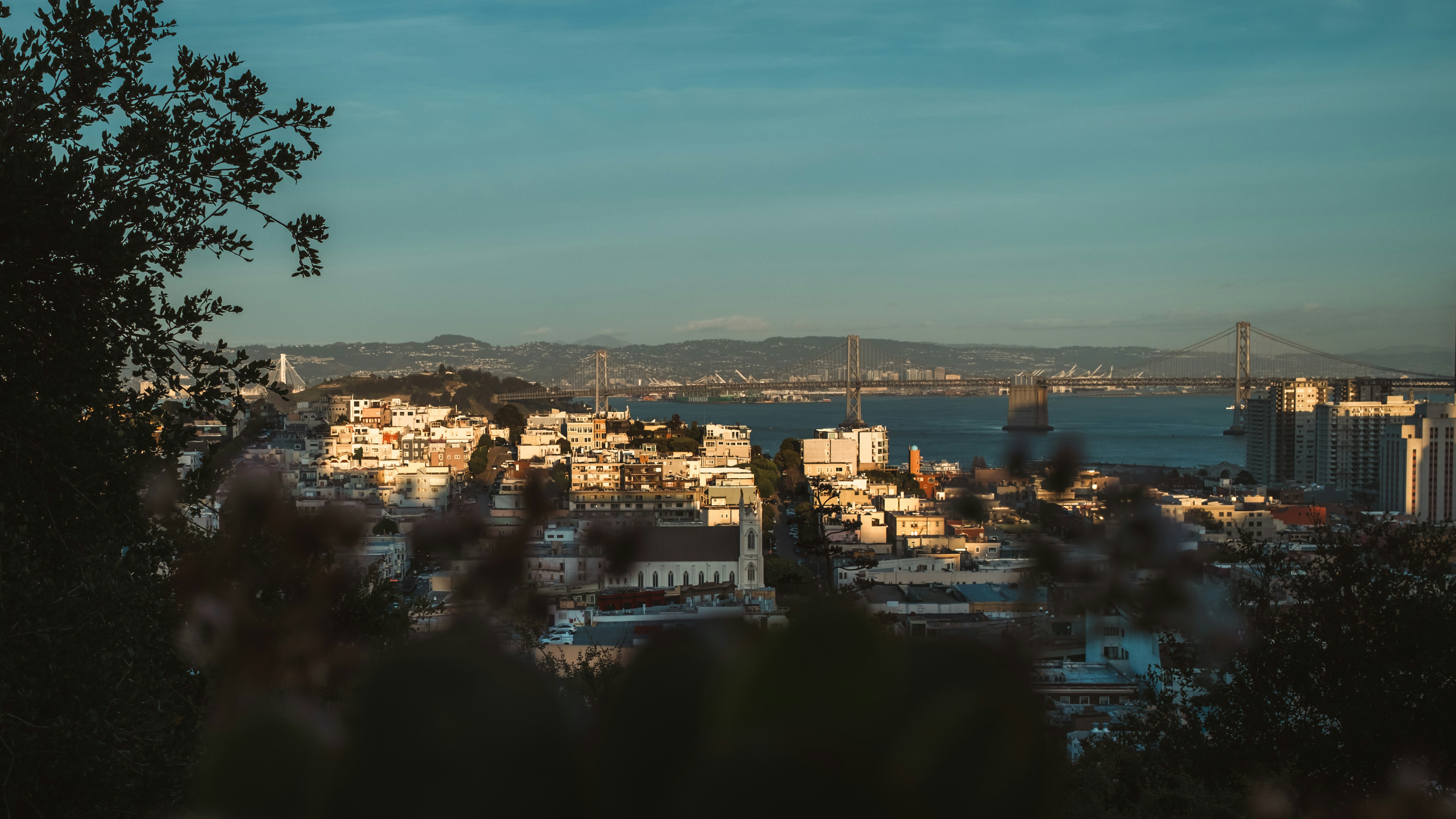 Photo by kalaniparker