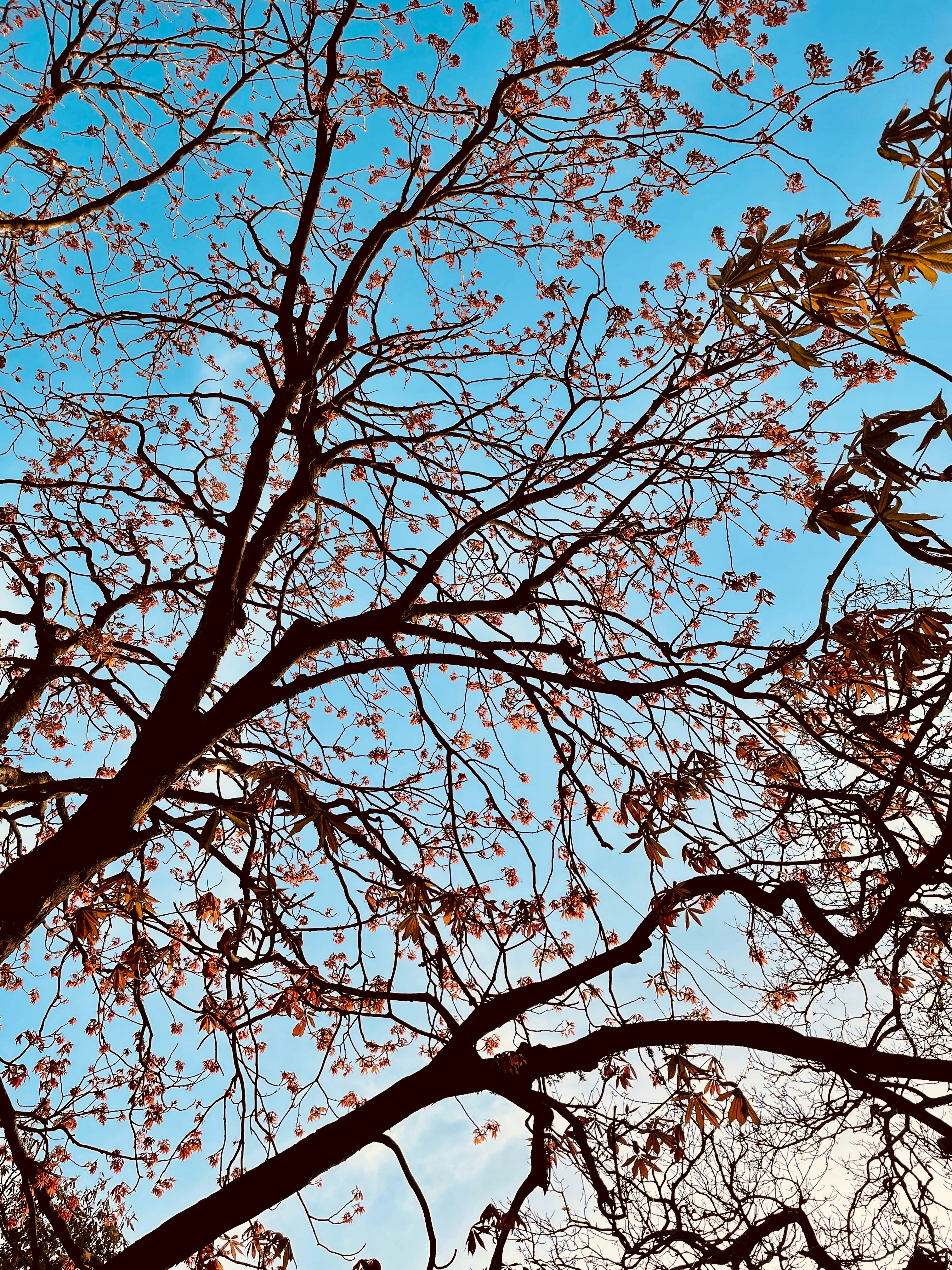 Photo by itsjustaphotographh