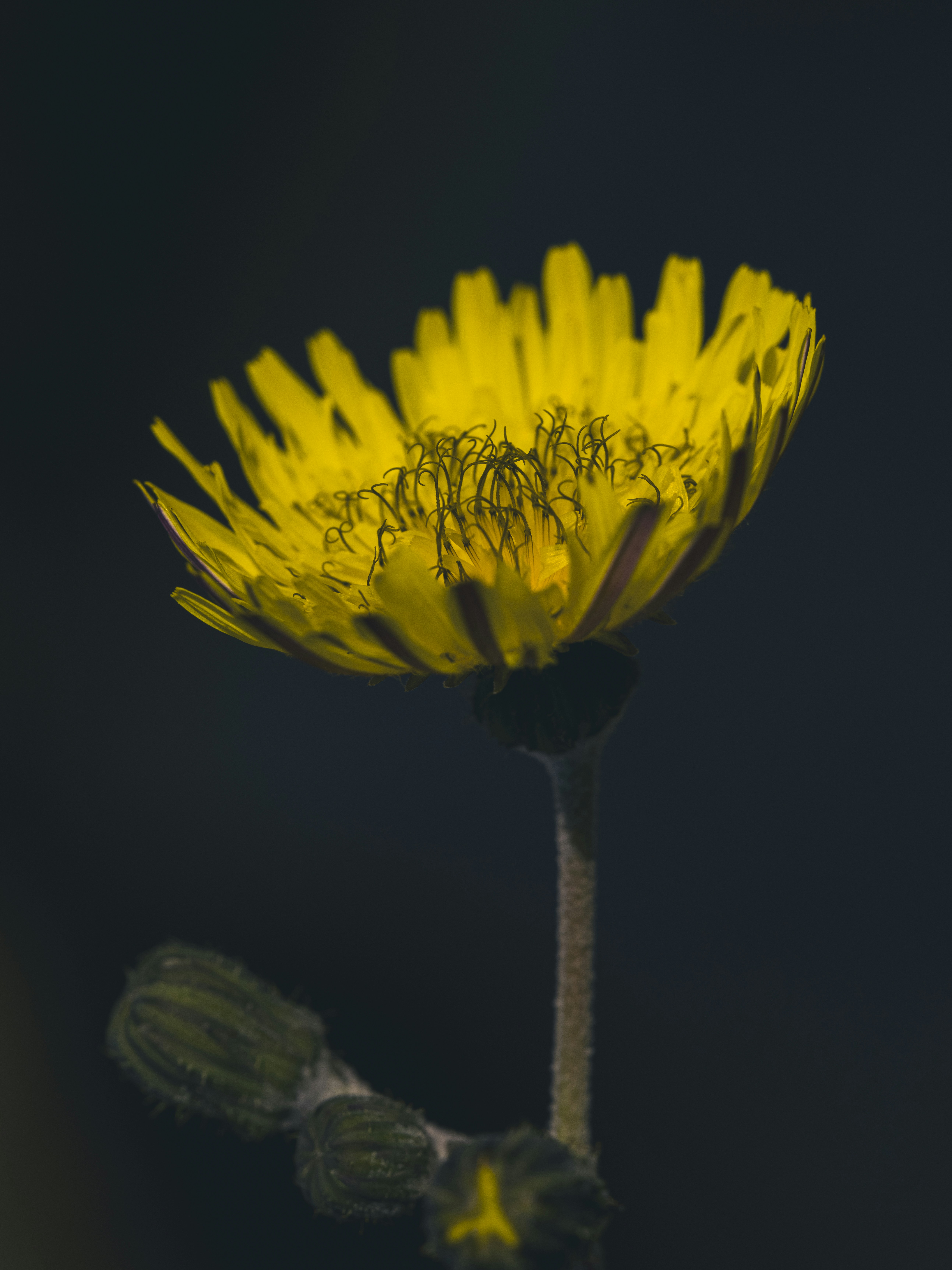 Photo by enginakyurt