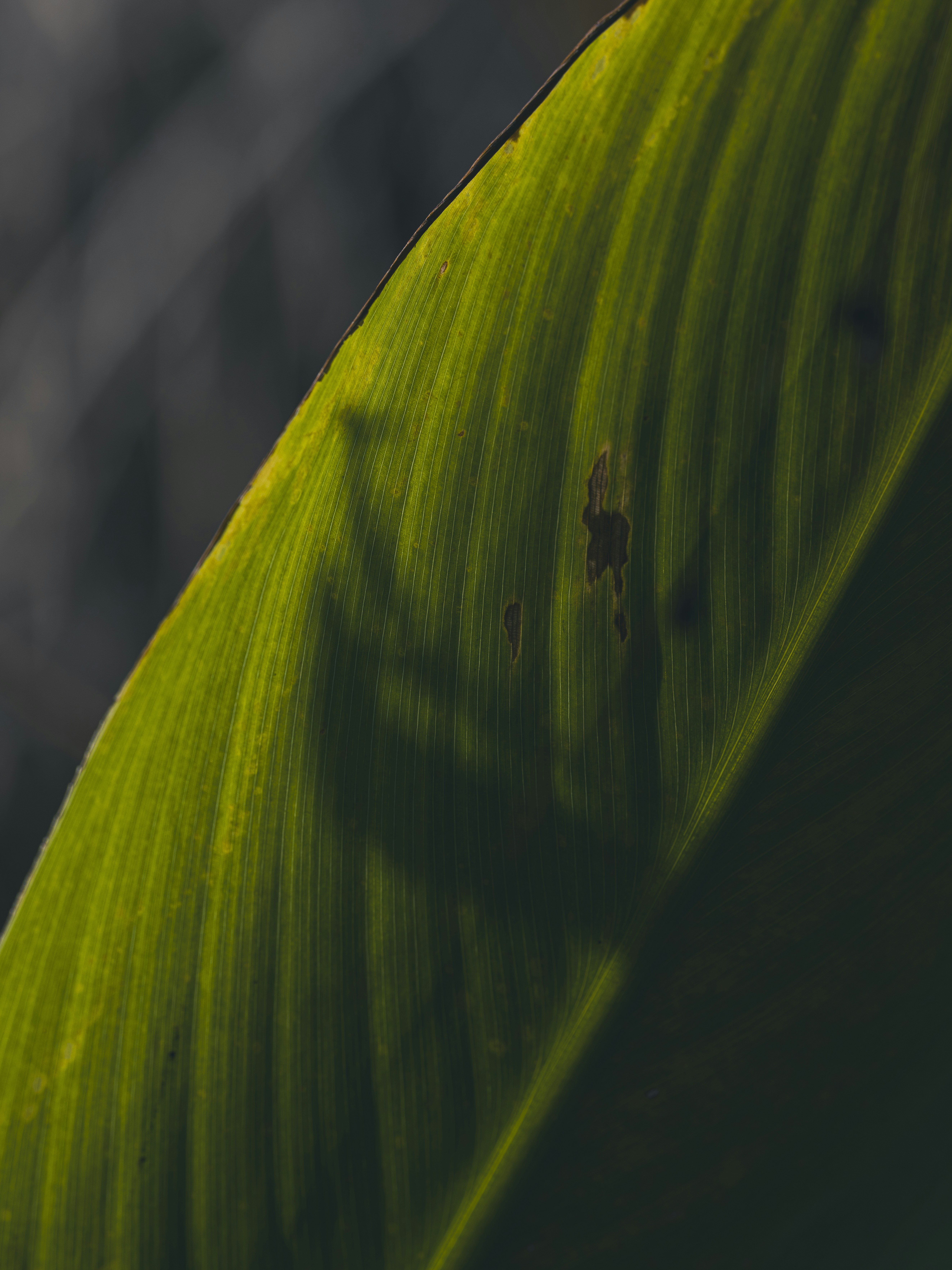 Photo by enginakyurt