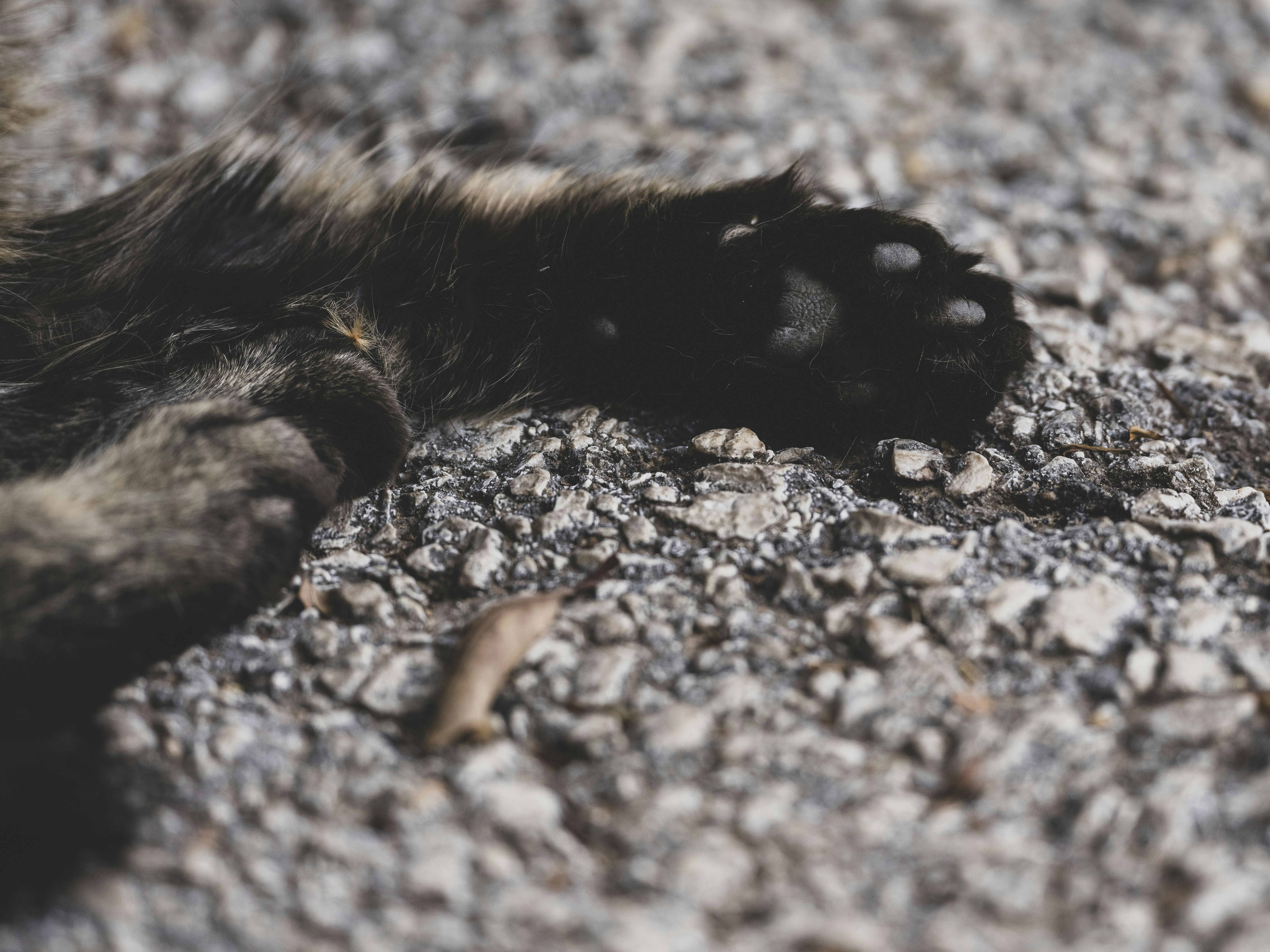 Photo by enginakyurt