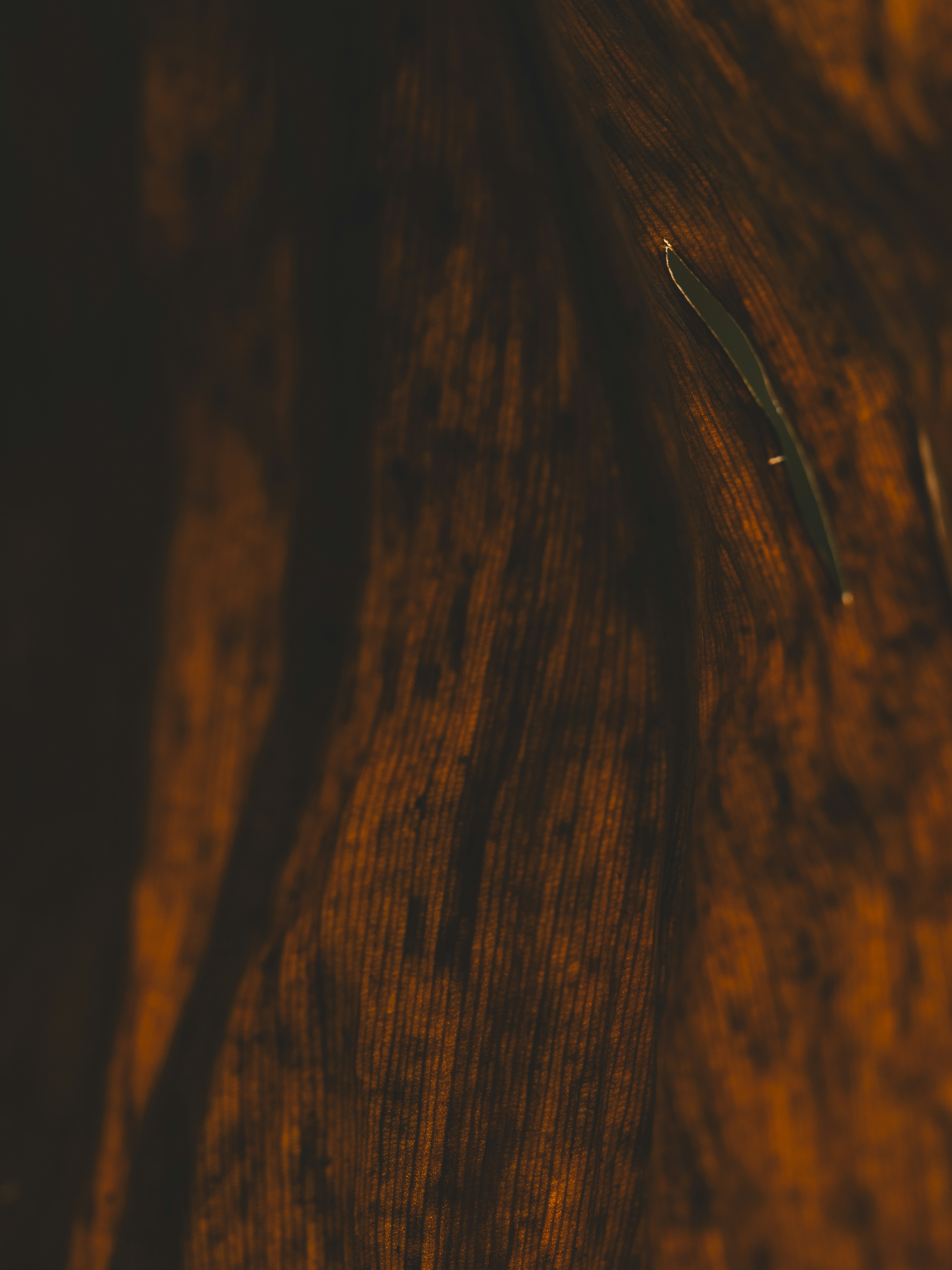 Photo by enginakyurt