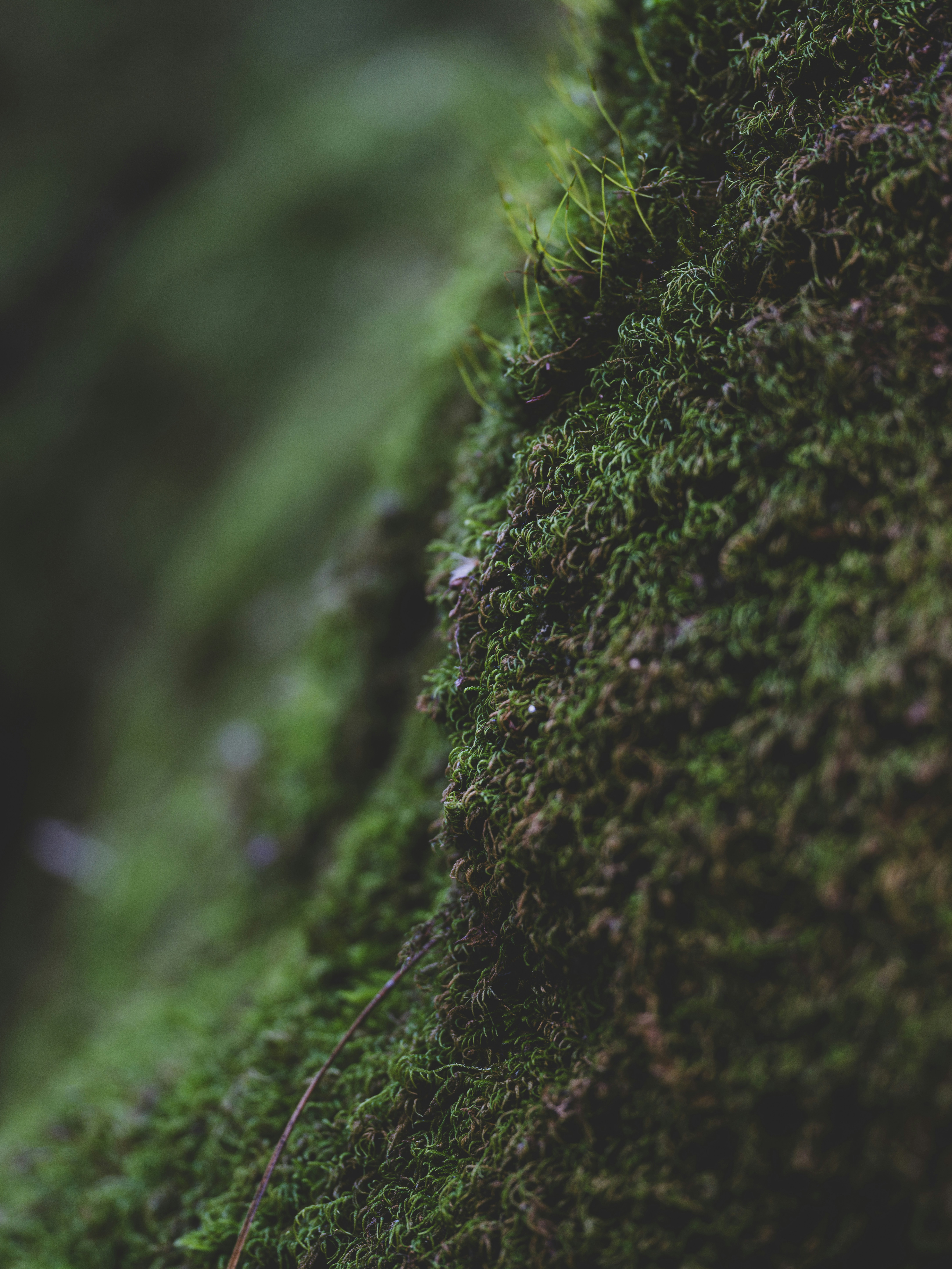 Photo by enginakyurt