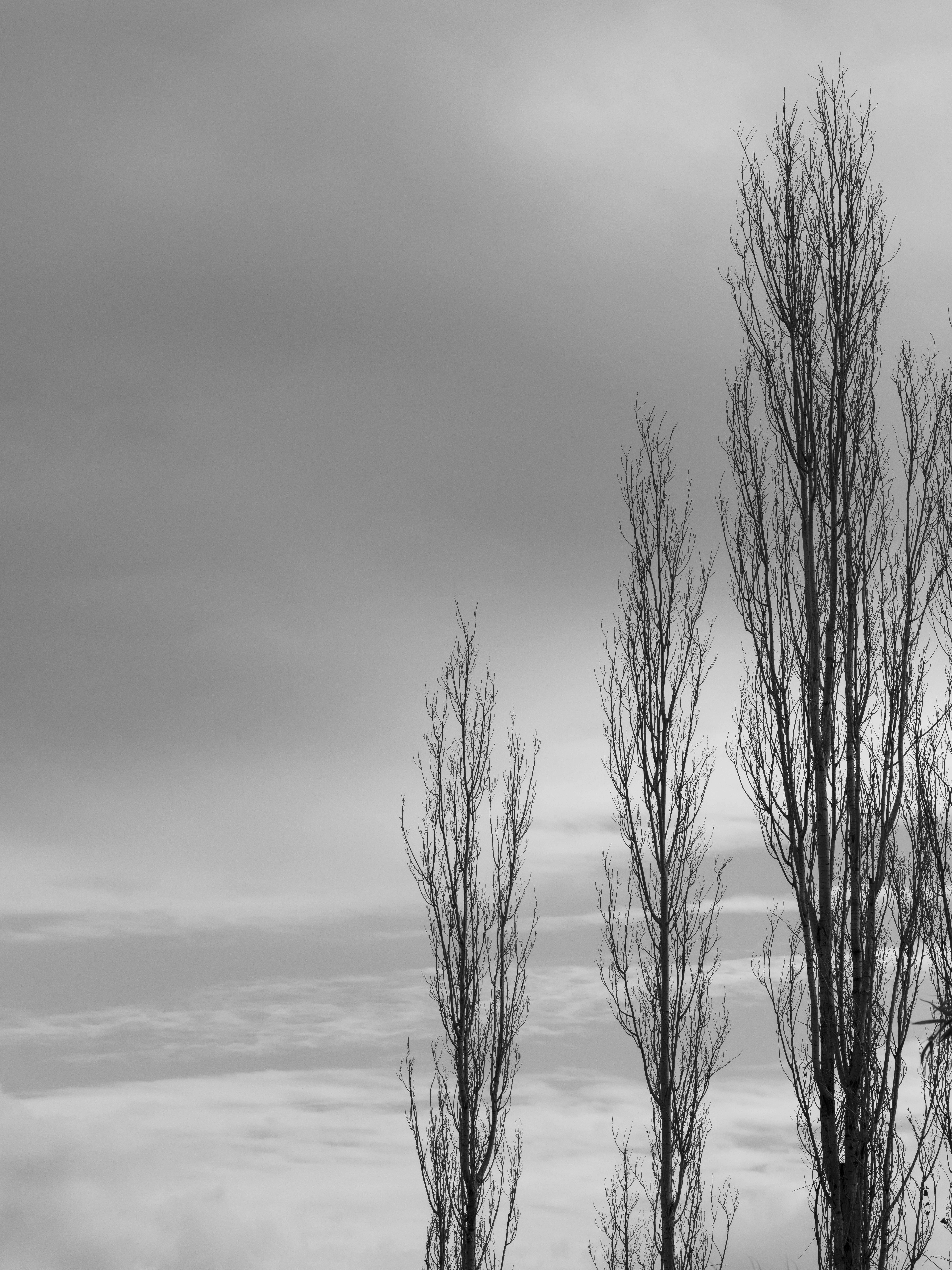 Photo by enginakyurt