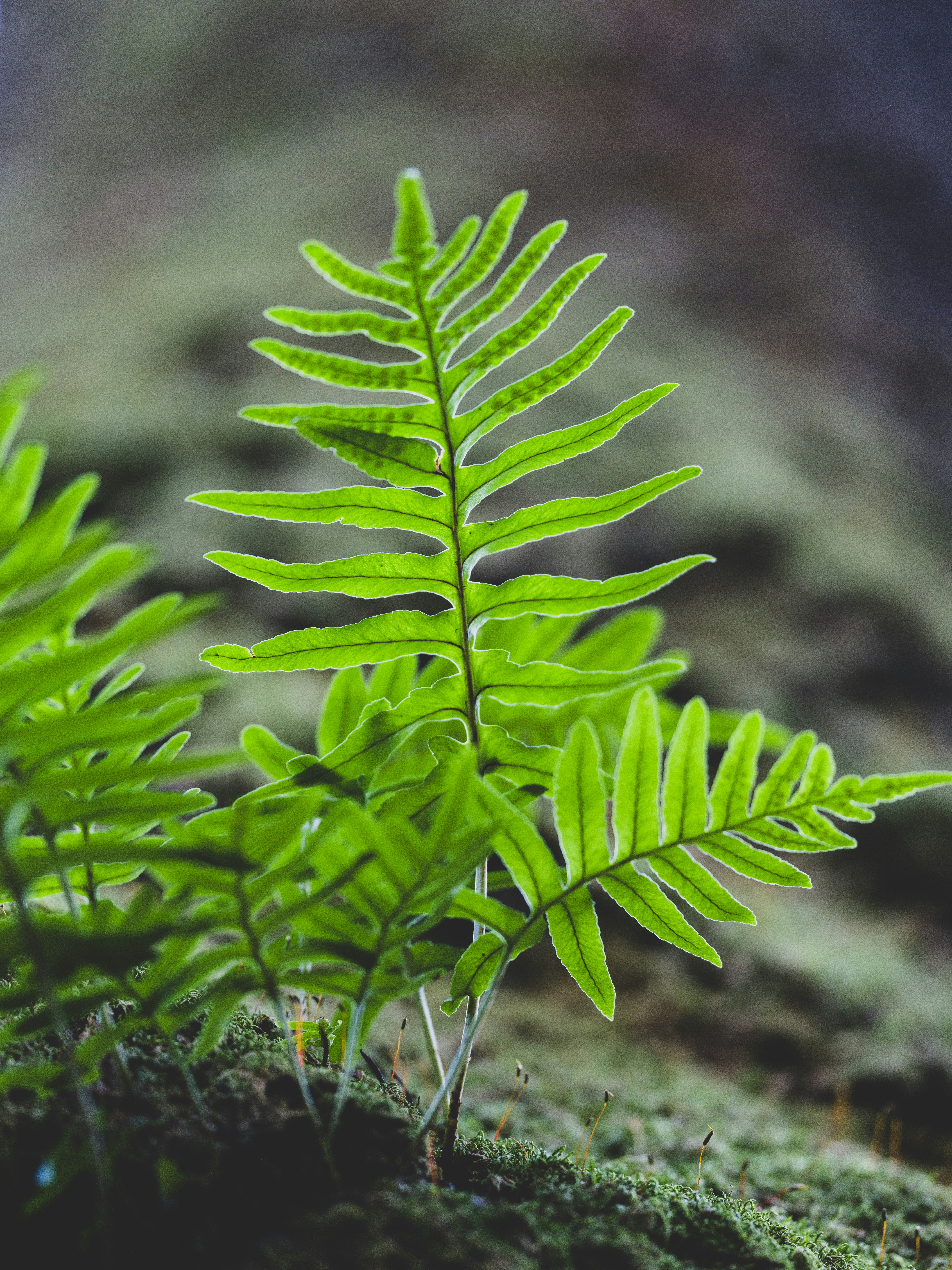Photo by enginakyurt