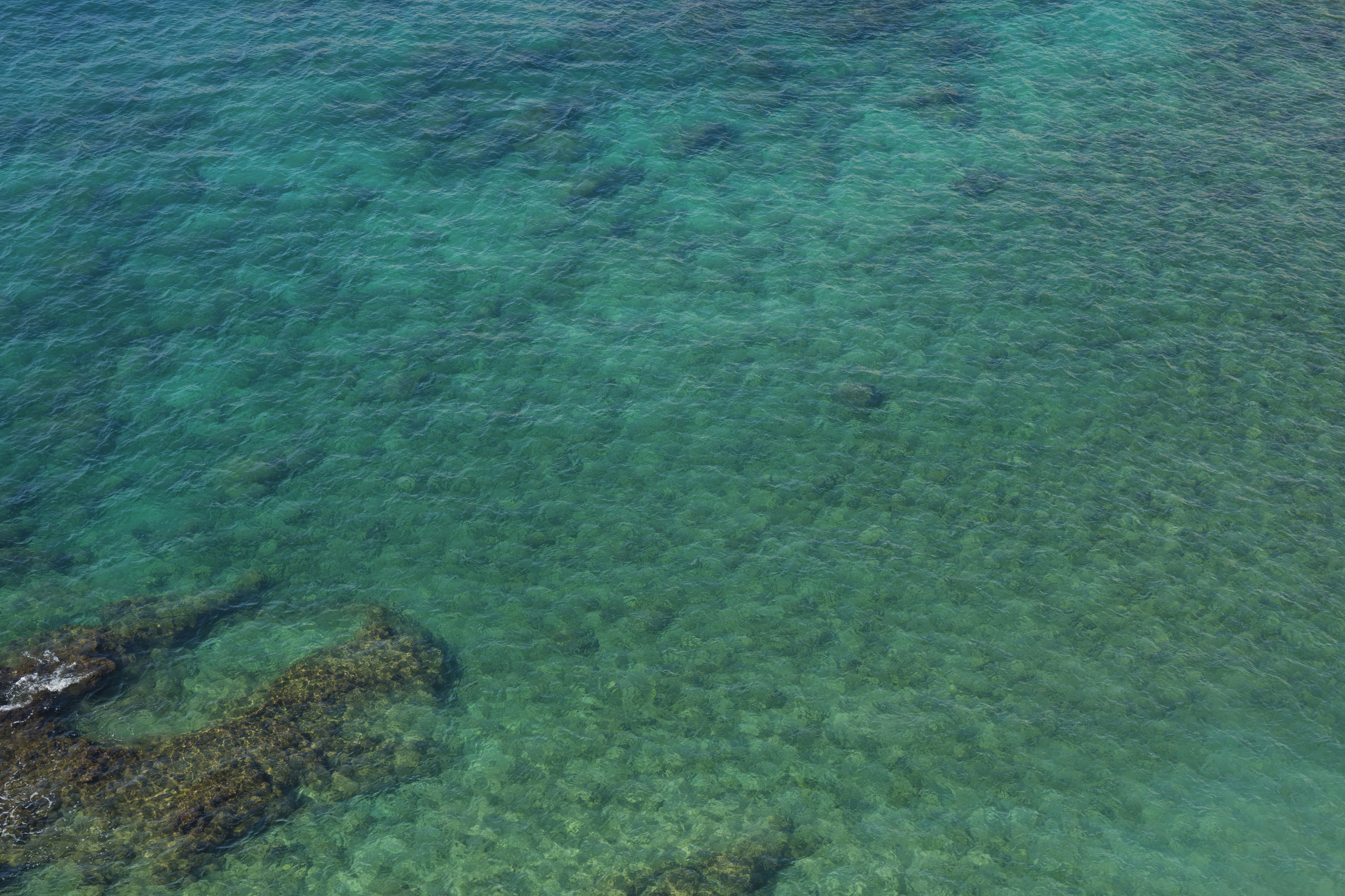 Photo by enginakyurt