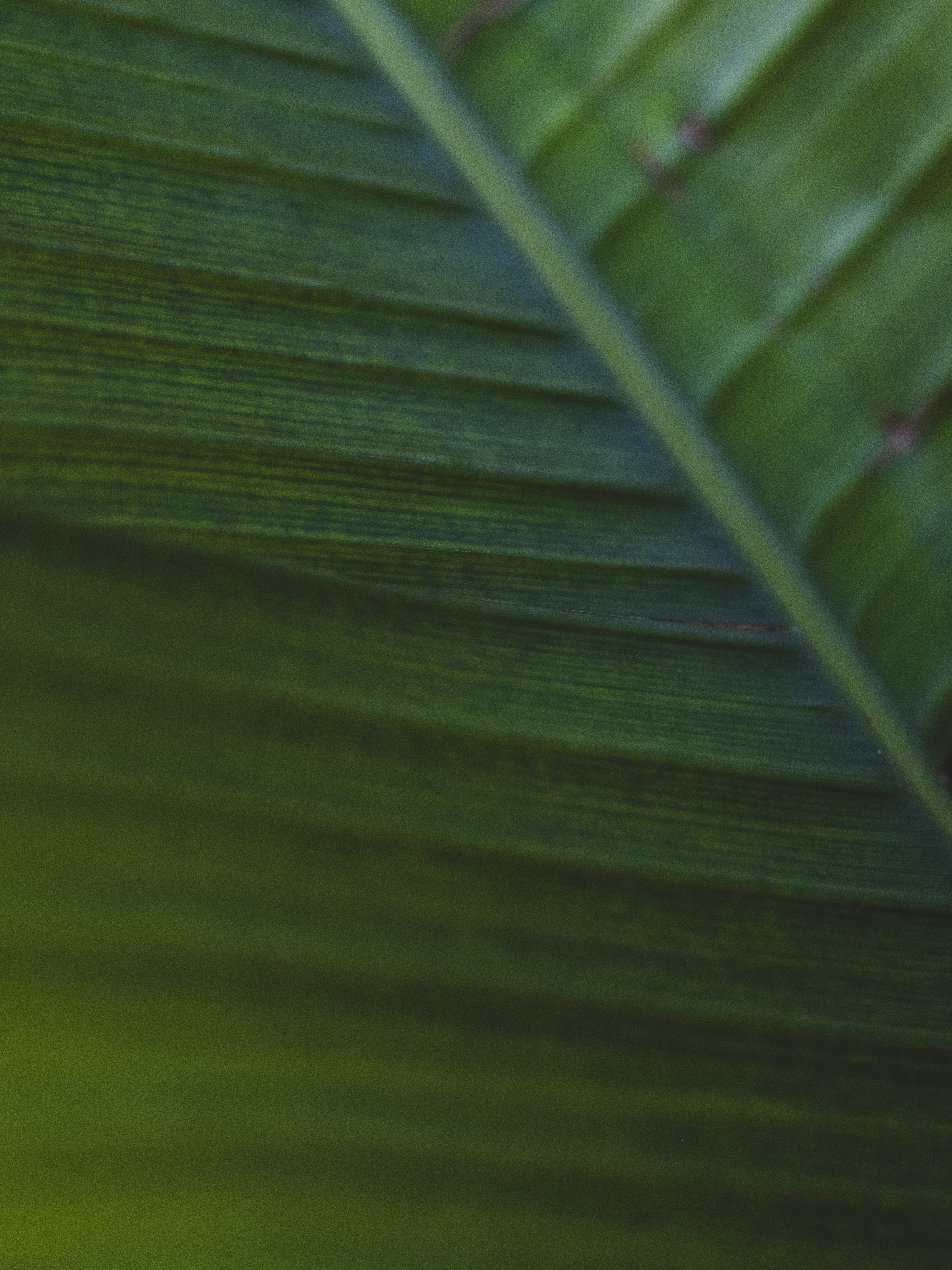 Photo by enginakyurt