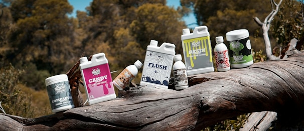 A group of bottles sitting on top of a tree branch