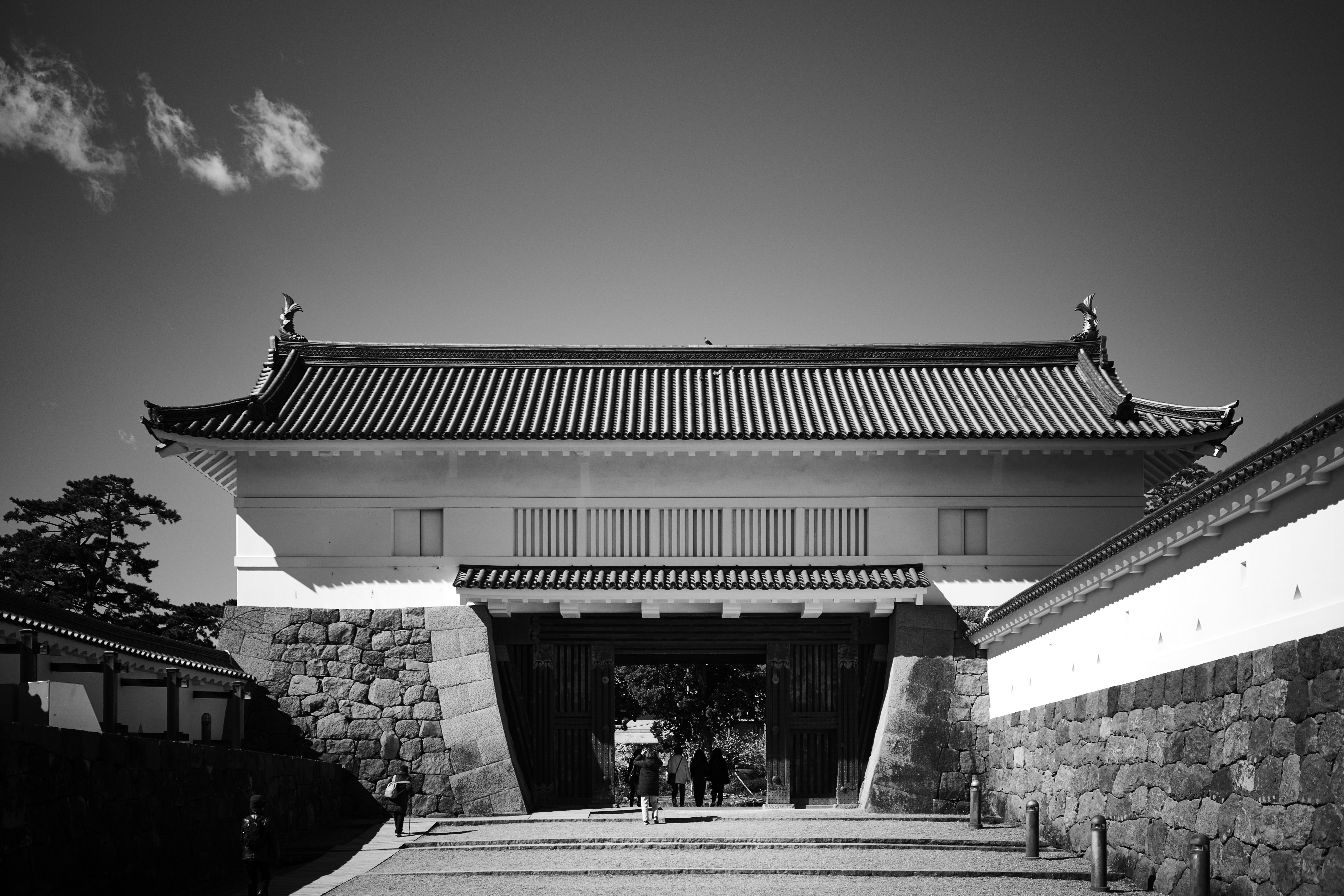 Photo by stefanschwinghammer