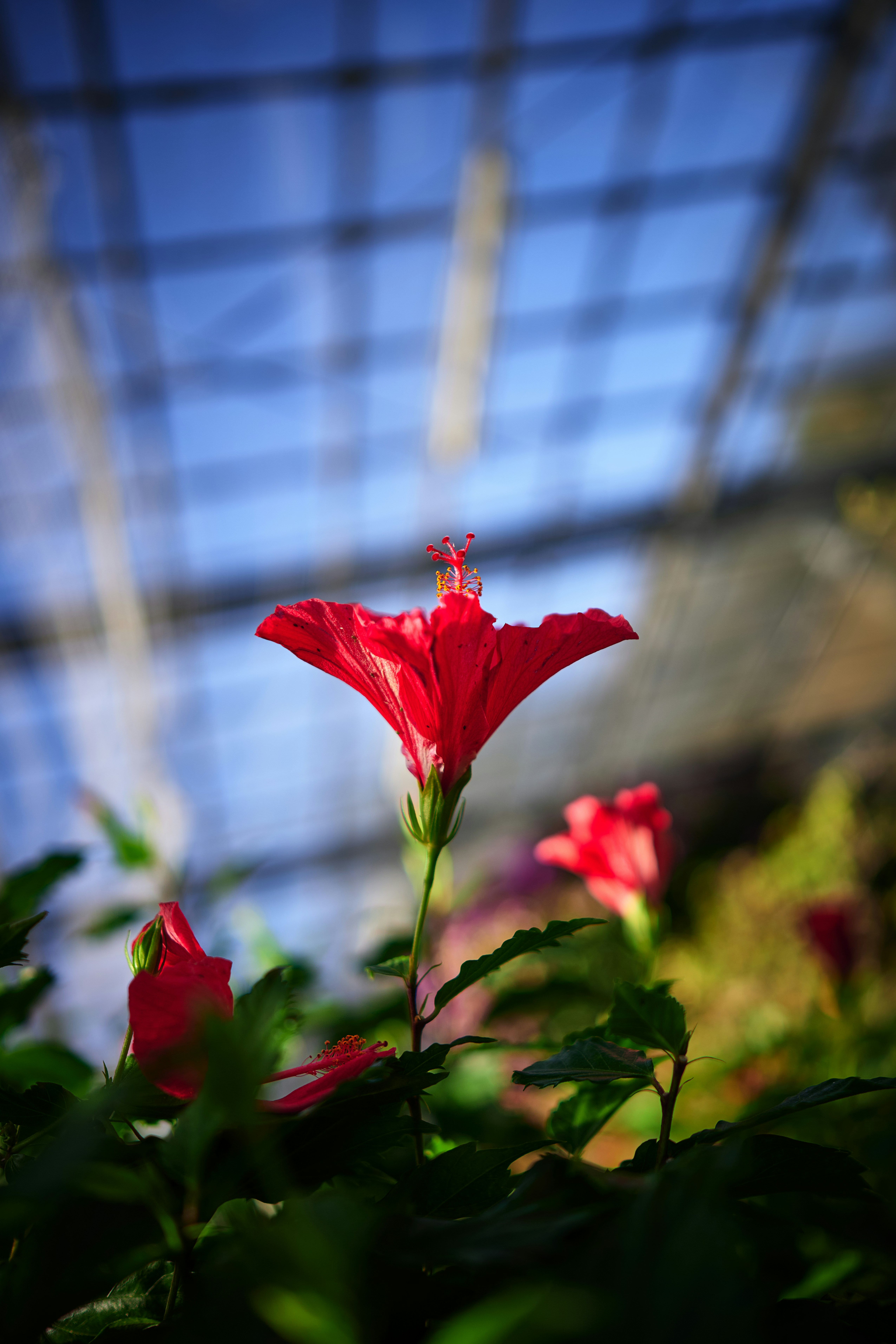 Photo by stefanschwinghammer