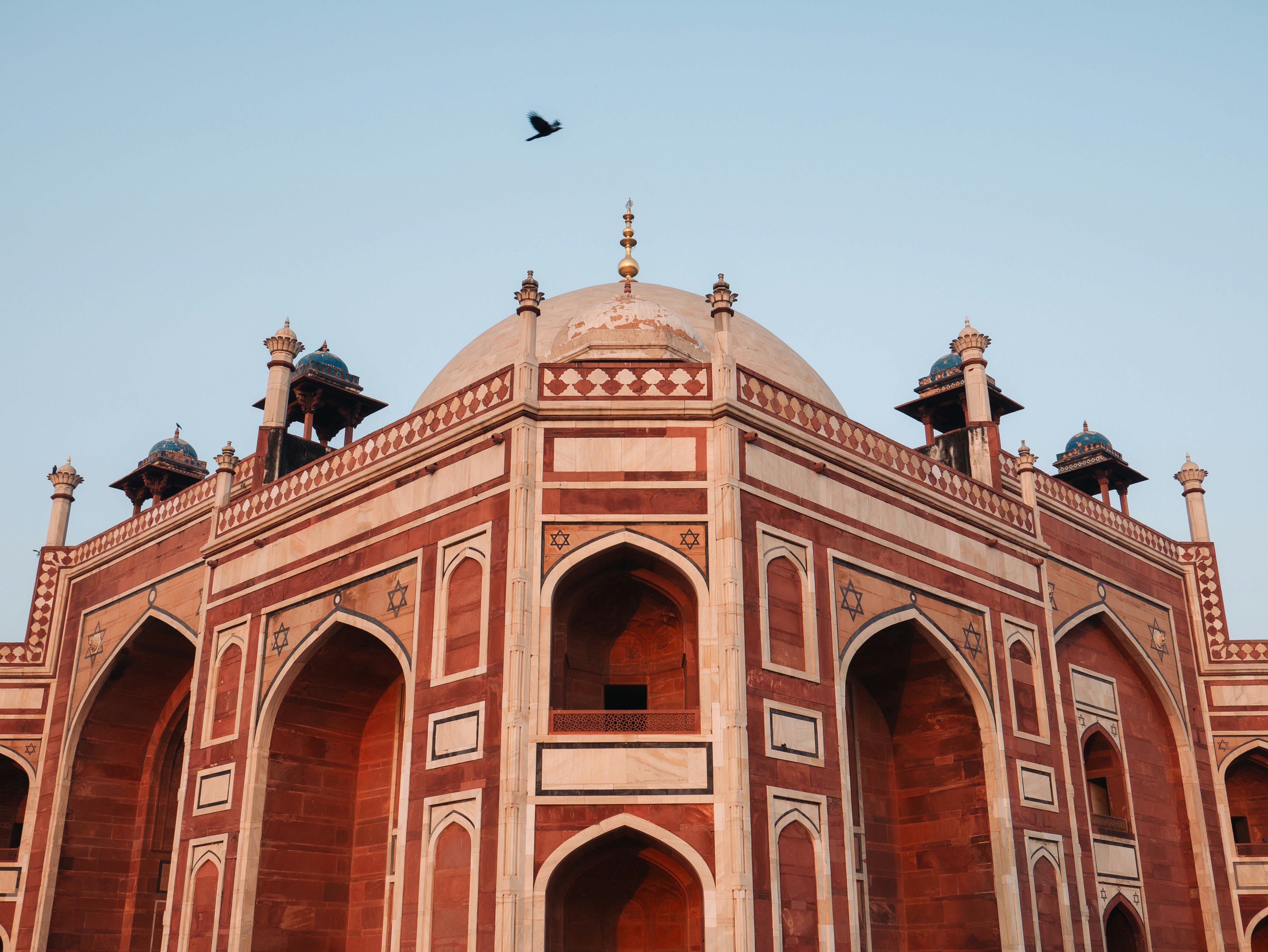 A large building with a bird flying over it