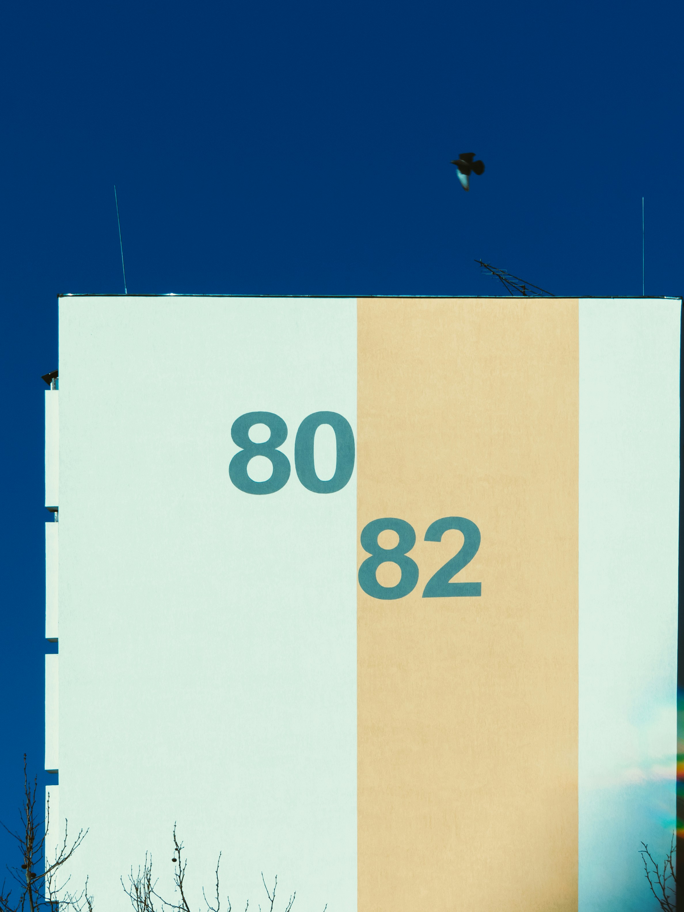 A large billboard with a bird flying over it