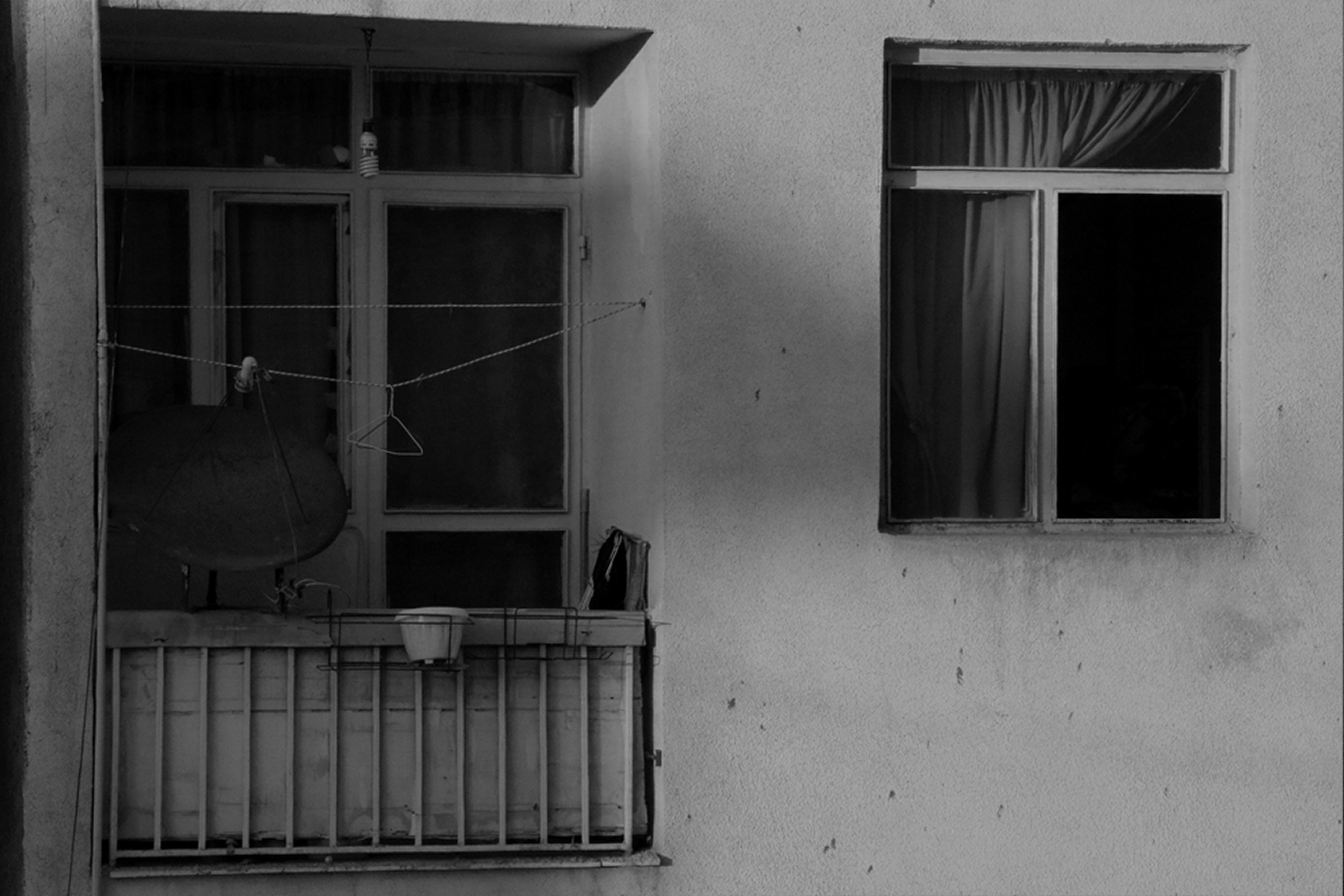 Photo by rominahmadpour