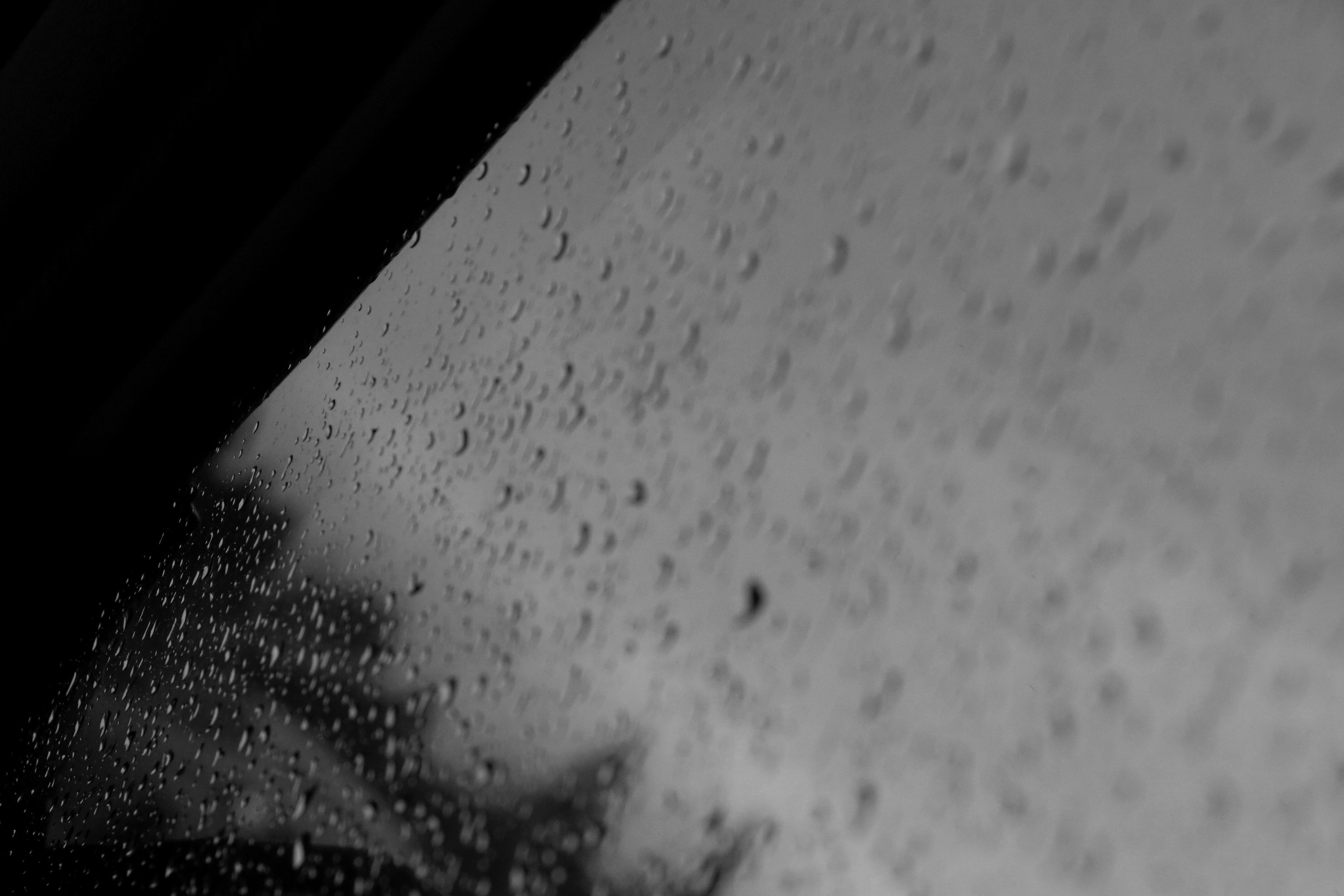 Photo by rominahmadpour