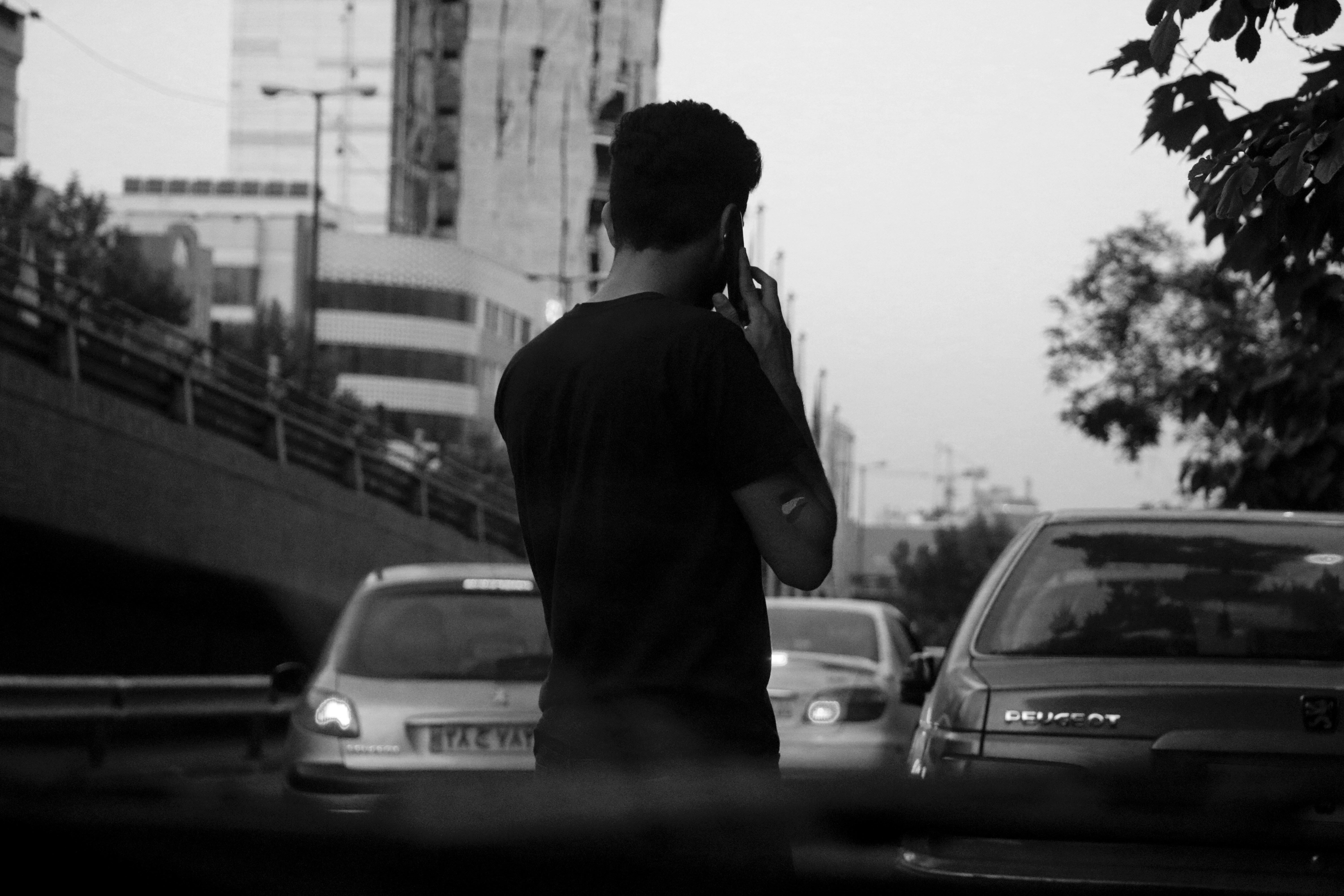 Photo by rominahmadpour