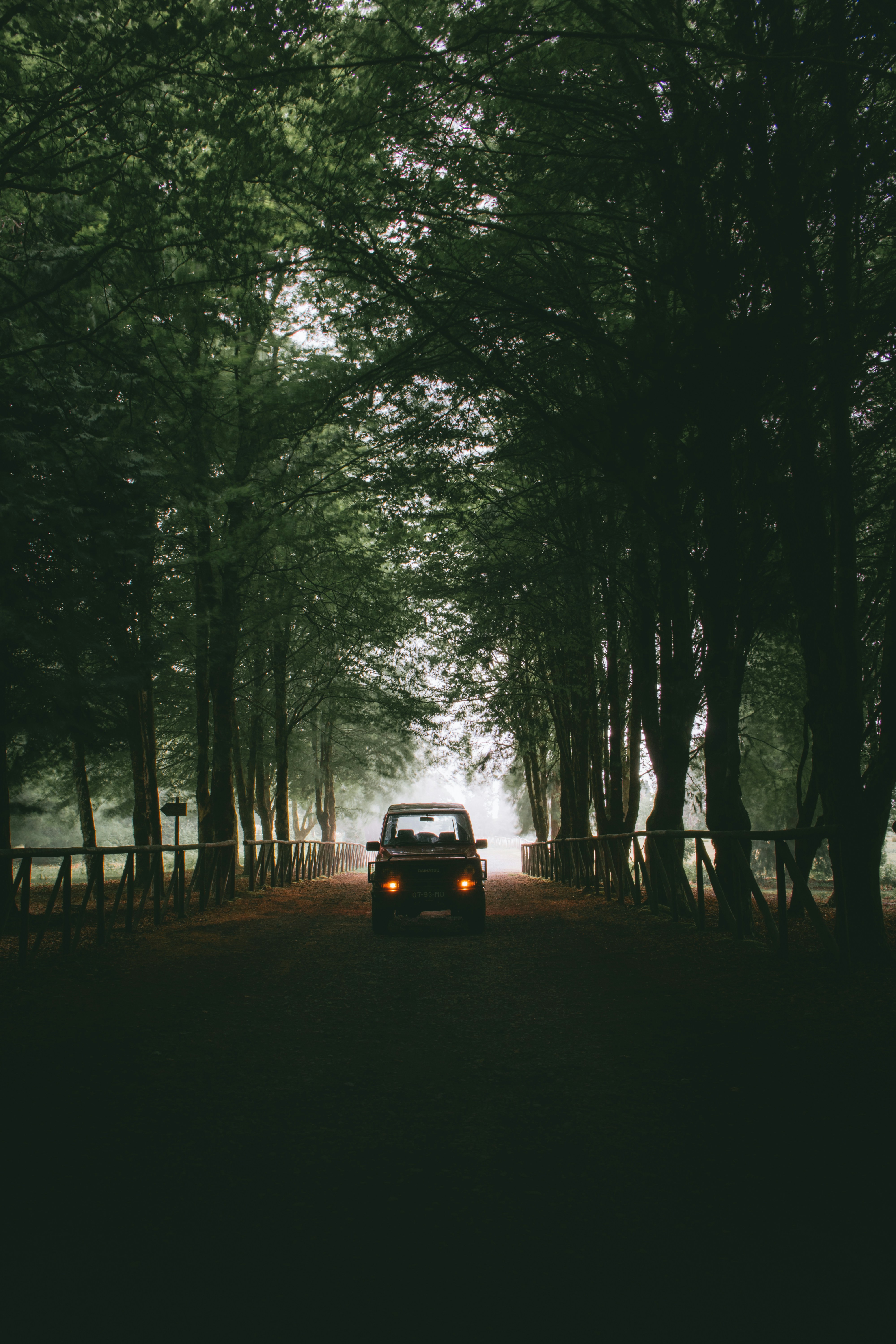 Photo by reinaldogaranito