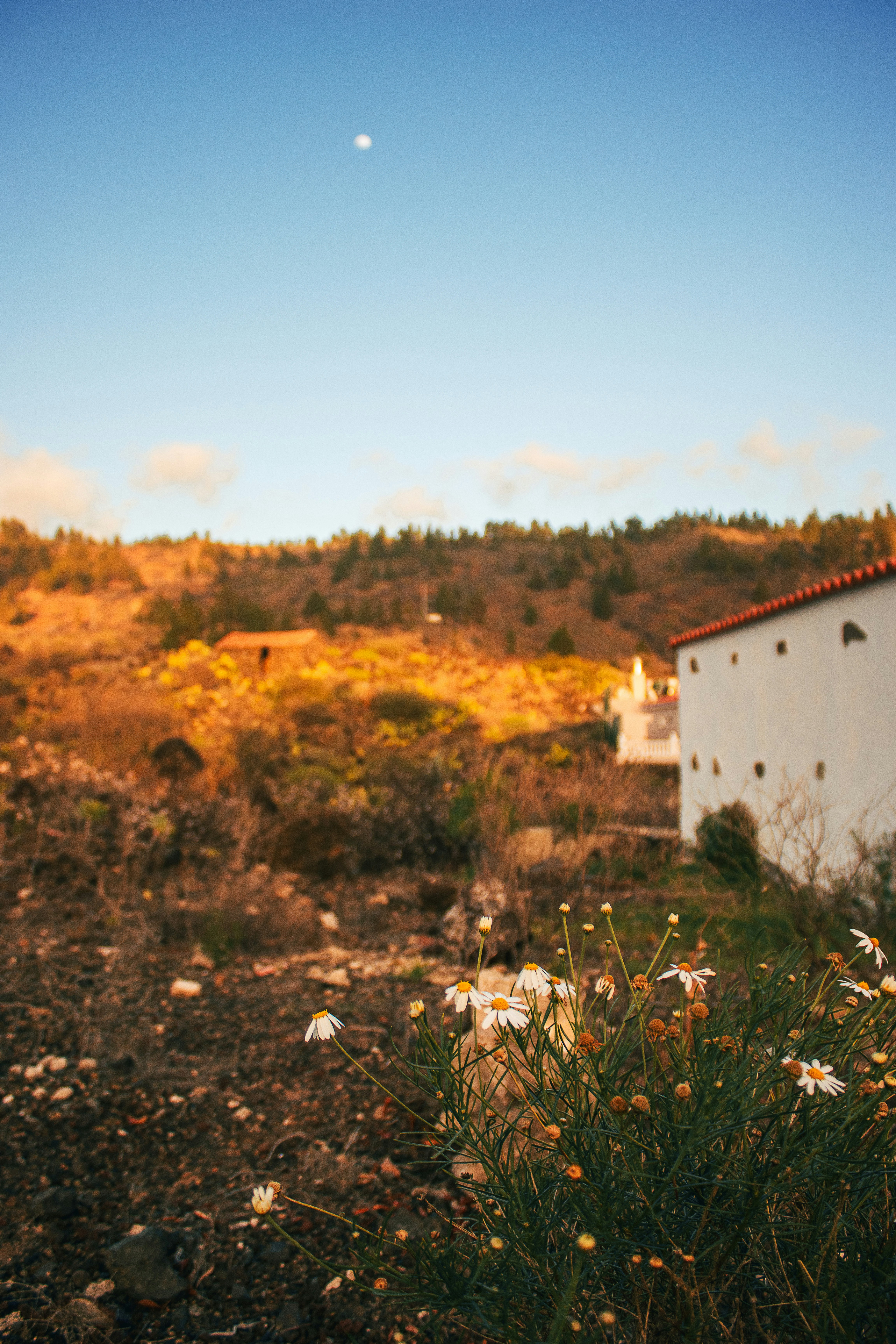 A white building sitting on top of a lush green hillside