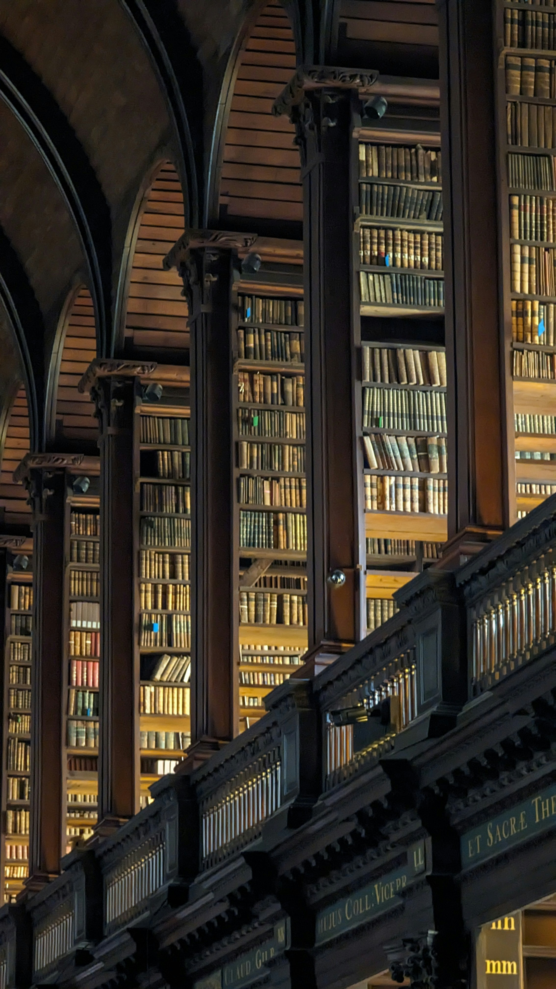 Exploring the Infinite World of Literature: An Insight into the Evolving Universe of Books