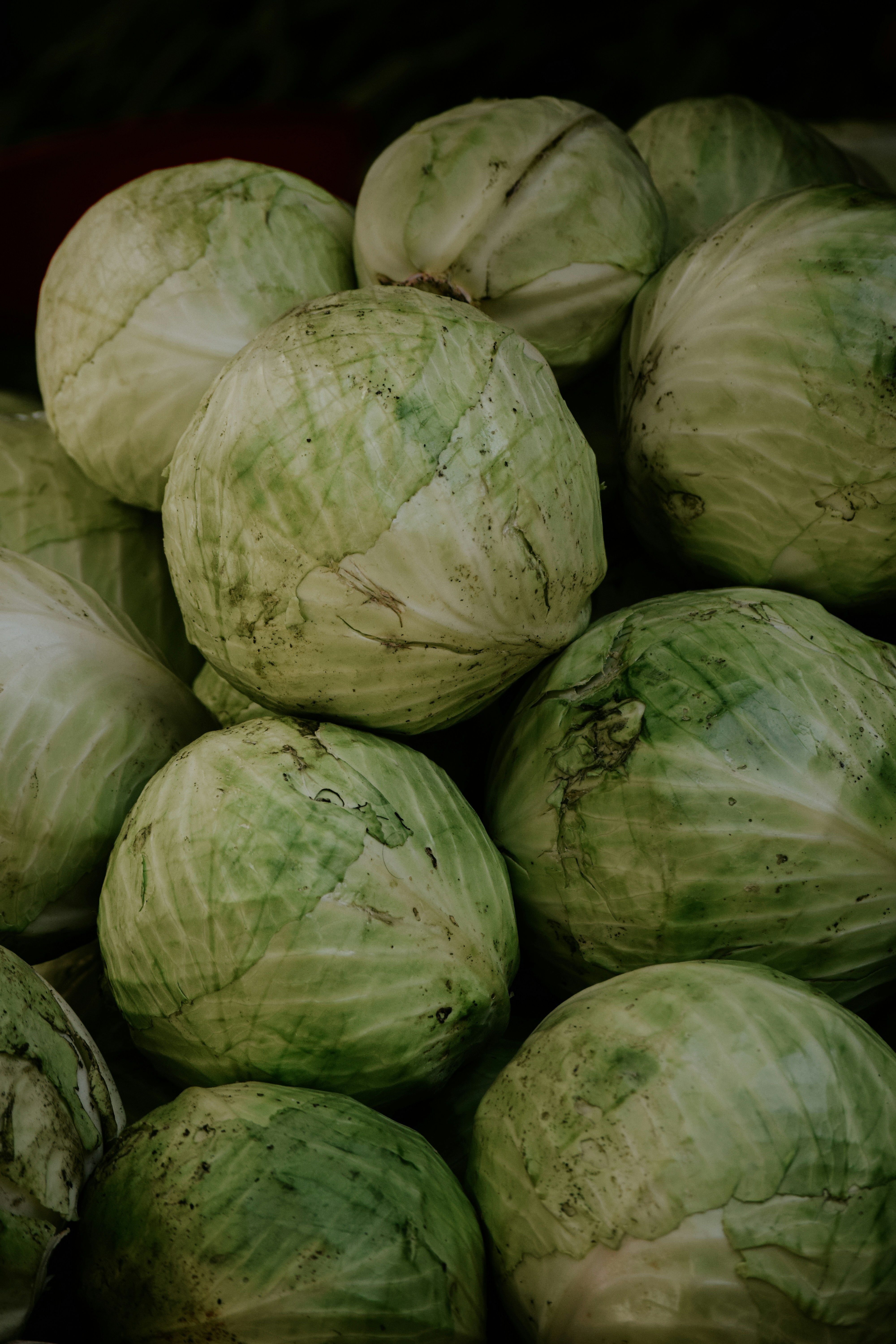 Photo by farsanamanaf