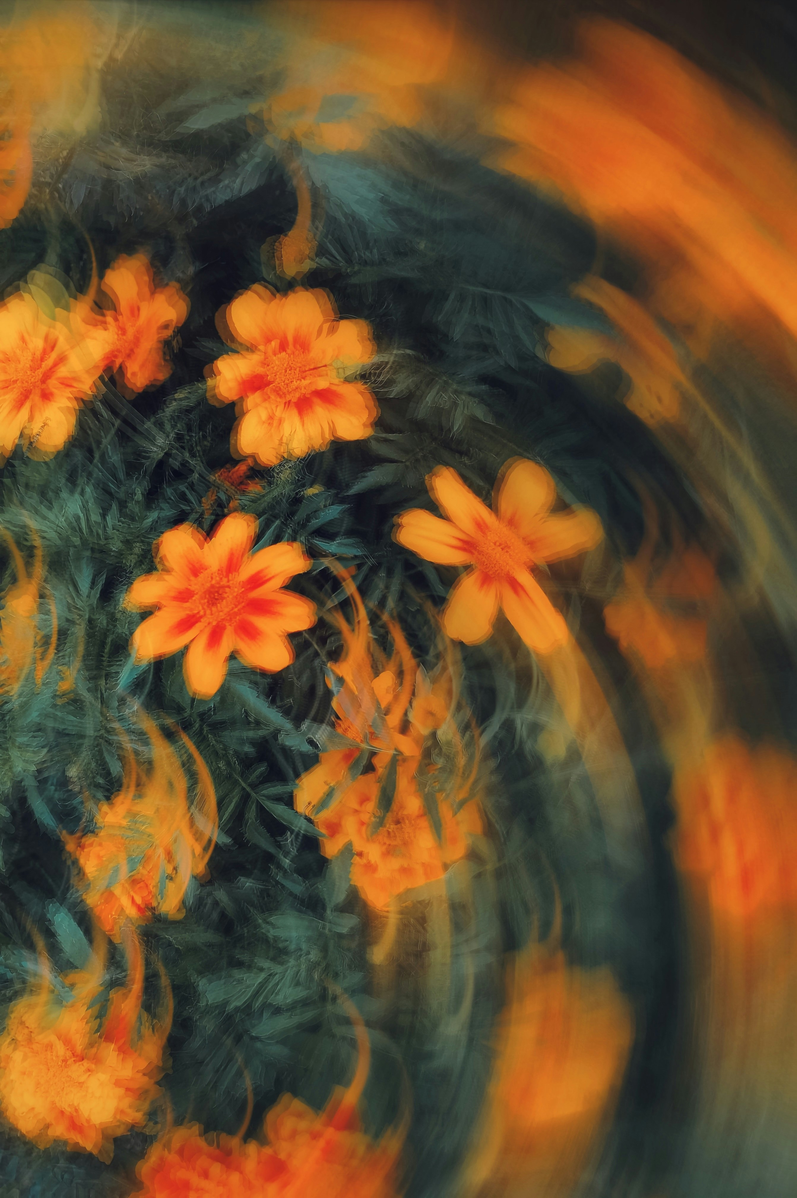 Photo by eugene_golovesov