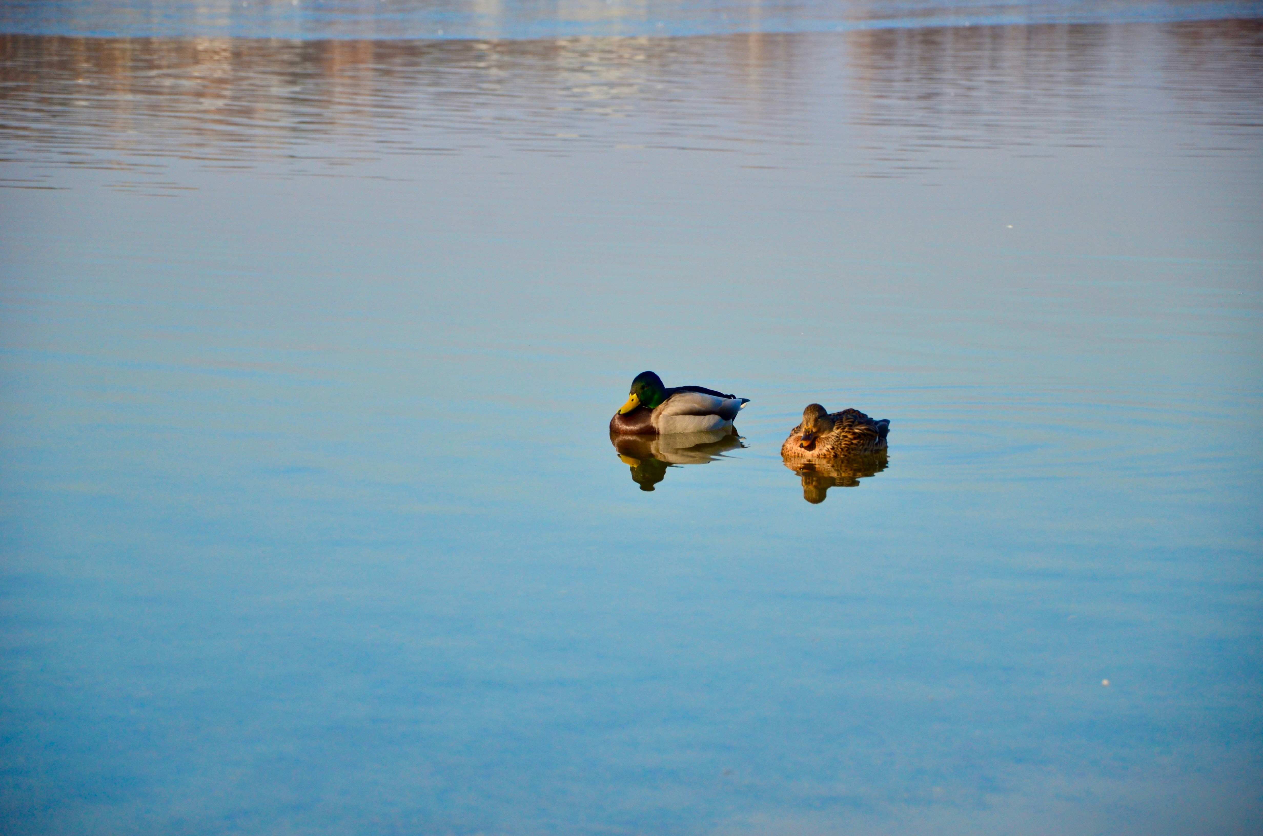 Photo by kacperekusmiechniety