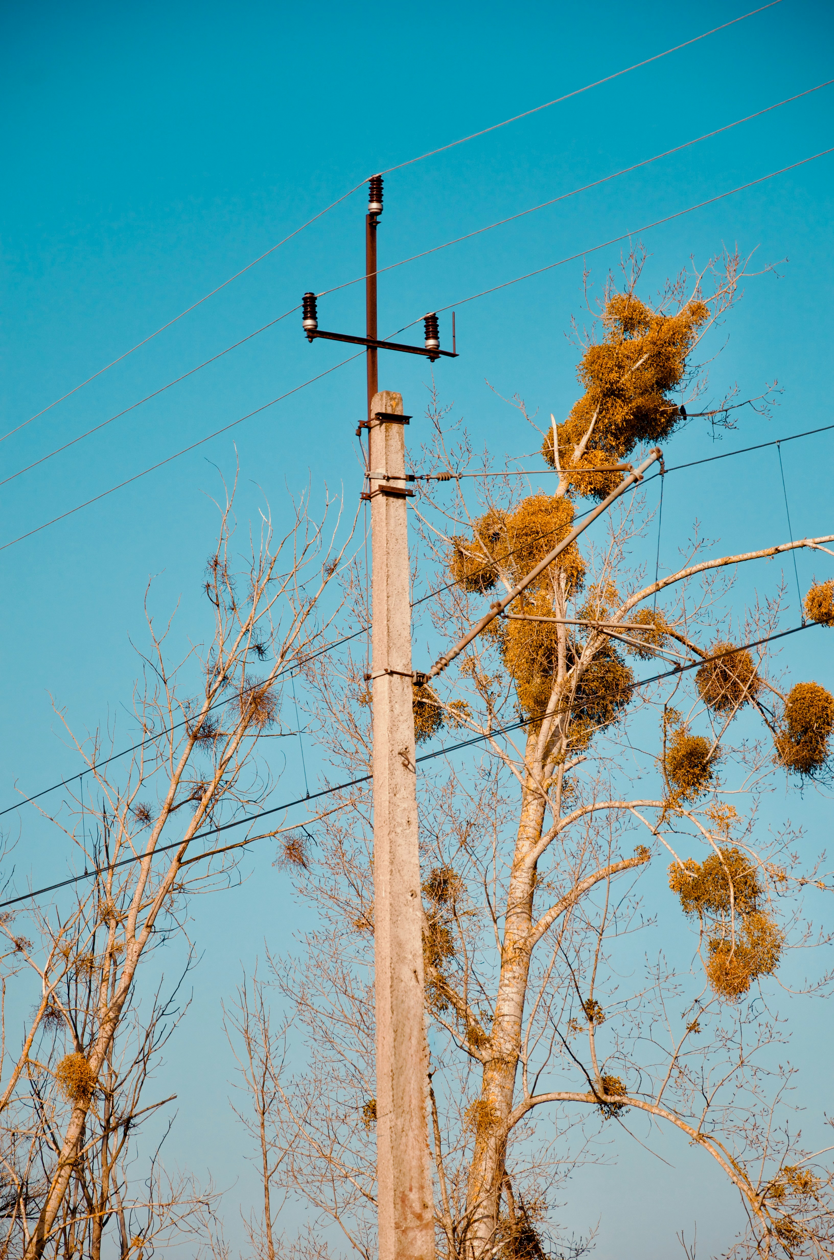 Photo by kacperekusmiechniety